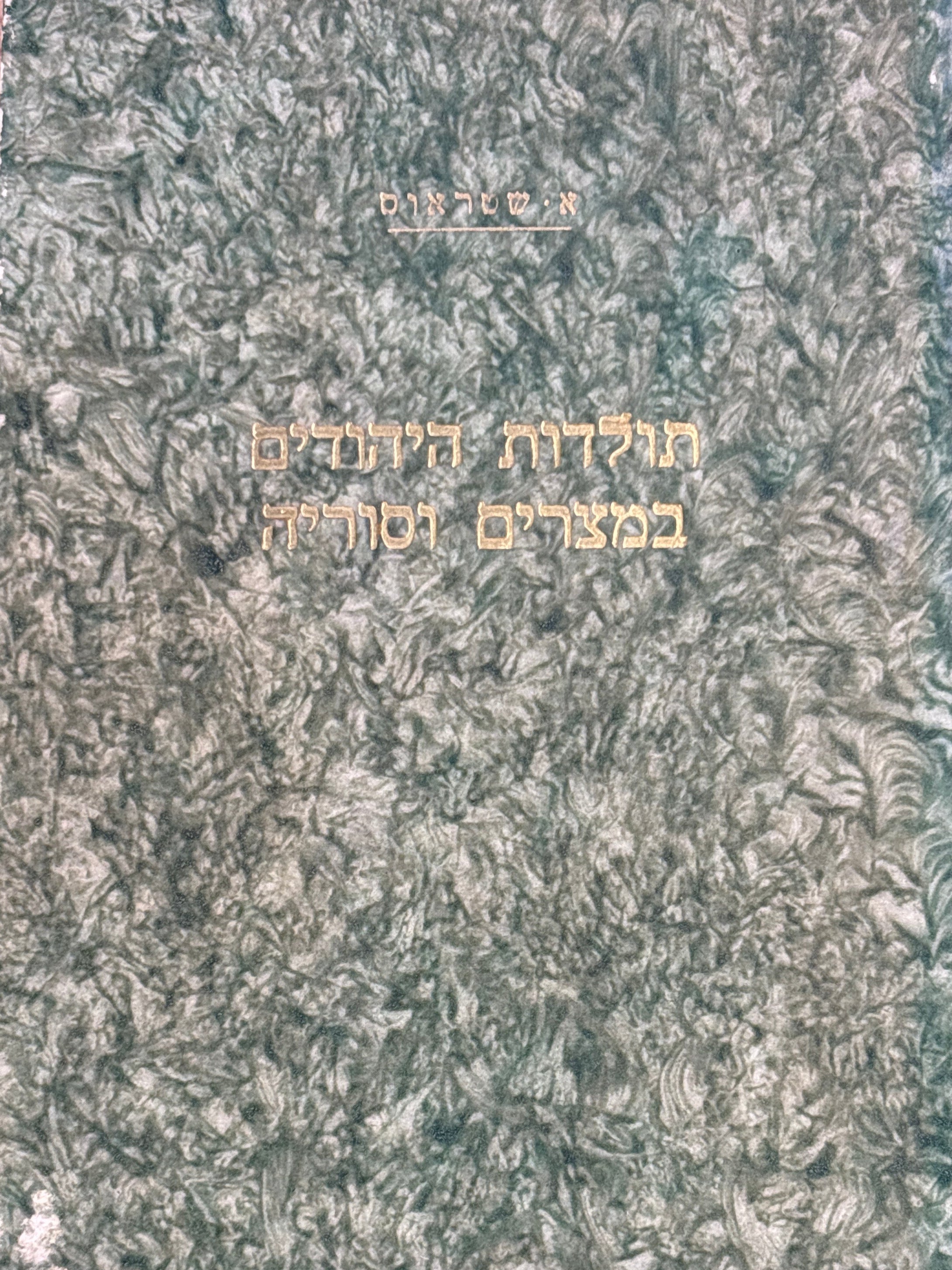 תולדות היהודים במצרים ובסוריה תחת שלטון הממלוכים / כרך ראשון / תקופת הממלוכים הבחרים / ה' אלפים י' - ק"מ / 1250-1382