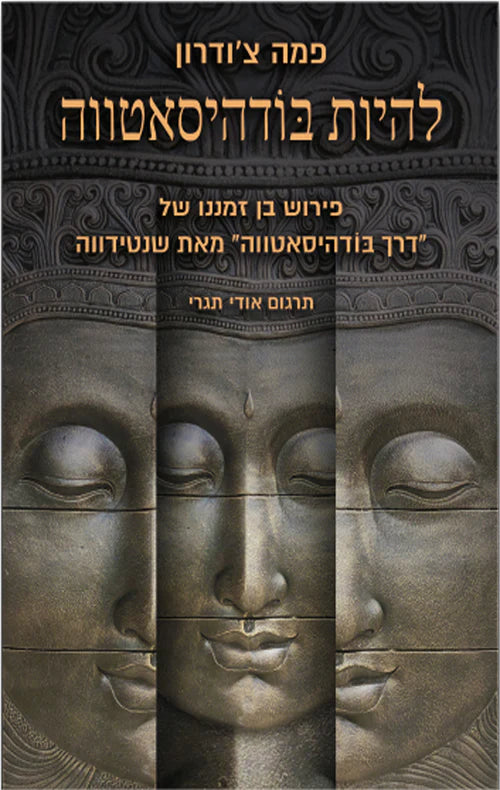 להיות בודהיסאטווה / פירוש בן זמננו של "דרך בודהיסאטווה" מאת שנטידווה