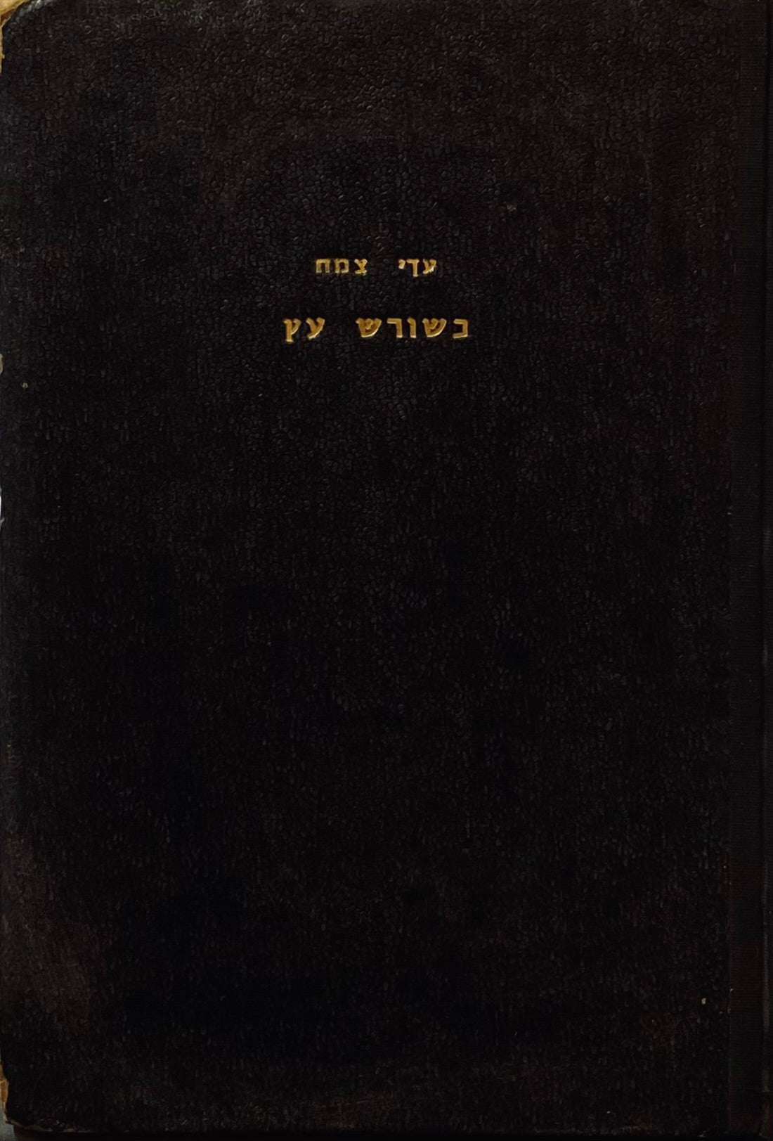 כשורש עץ / קריאה חדשה בי"א שירי חול של שלמה בן גבירול