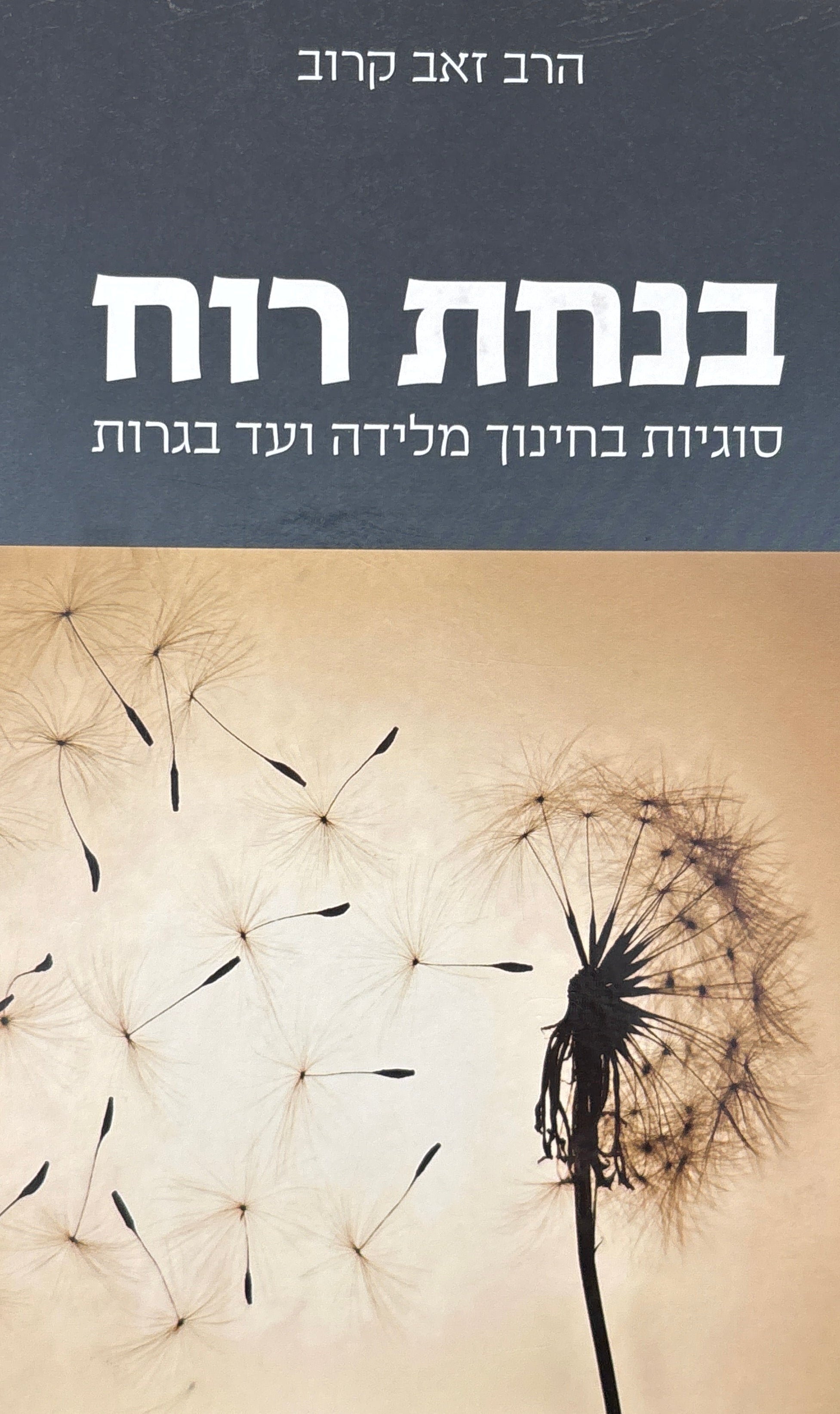 בנחת רוח / סוגיות בחינוך מלידה ועד בגרות