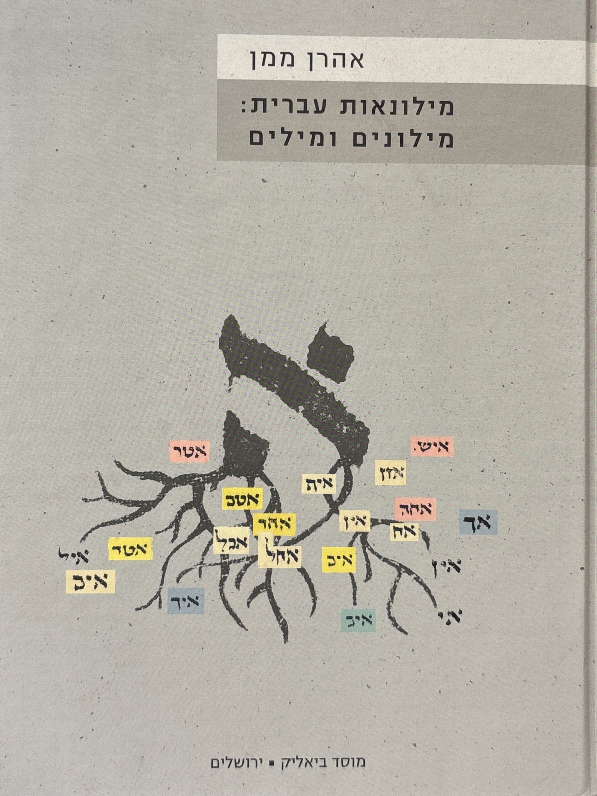 מילונאות עברית: מילונים ומילים