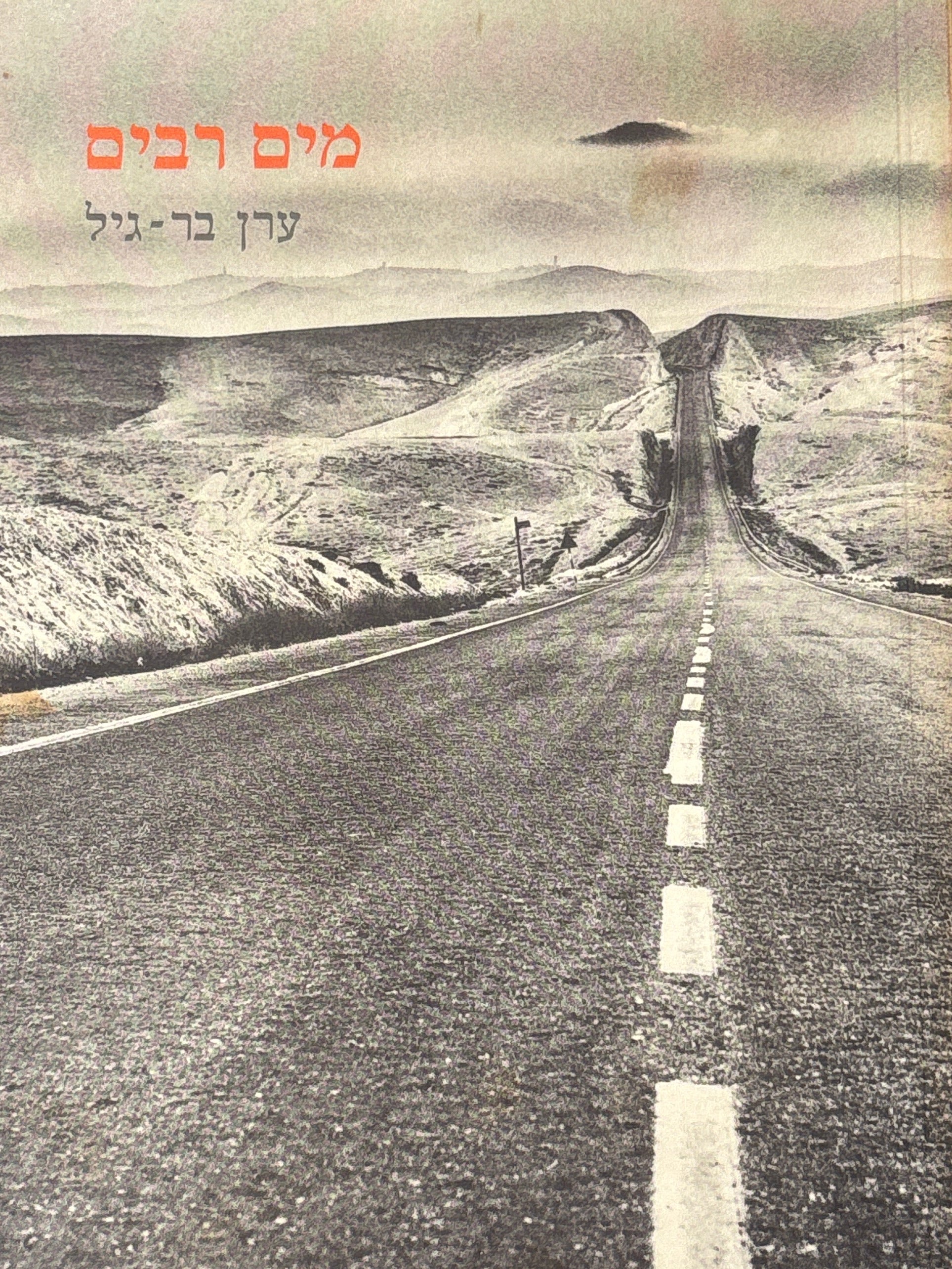 מים רבים