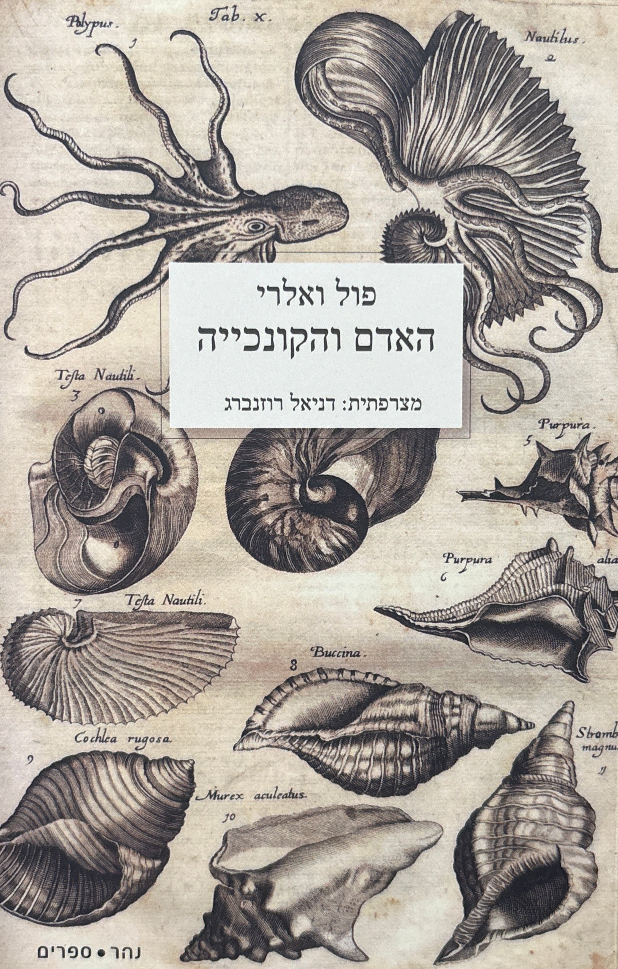 האדם והקונכייה / מצרפתית דניאל רוזנברג