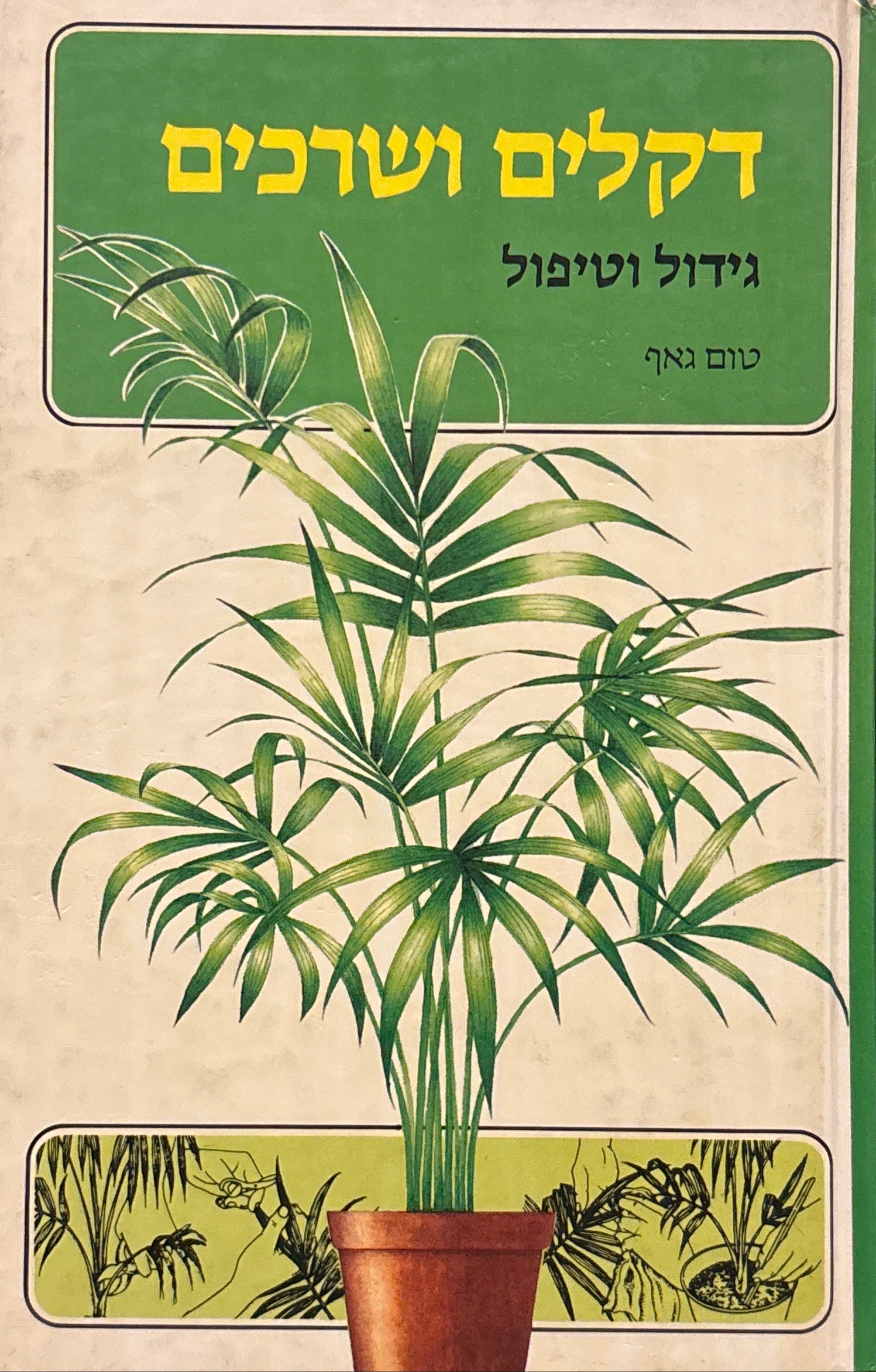 דקלים ושרכים / גידול וטיפול