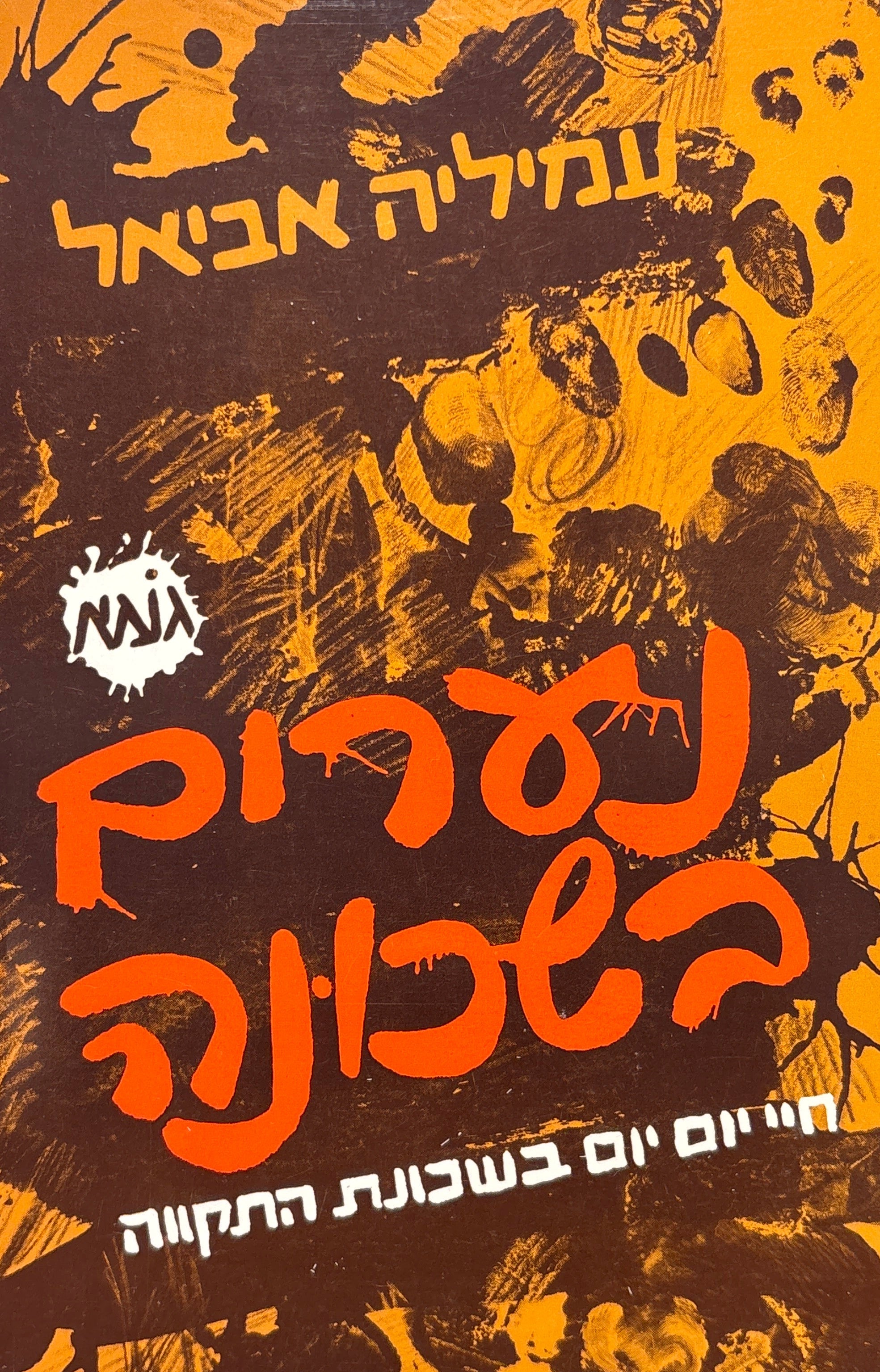 נערים בשכונה / חיי יום יום בשכונת התקווה