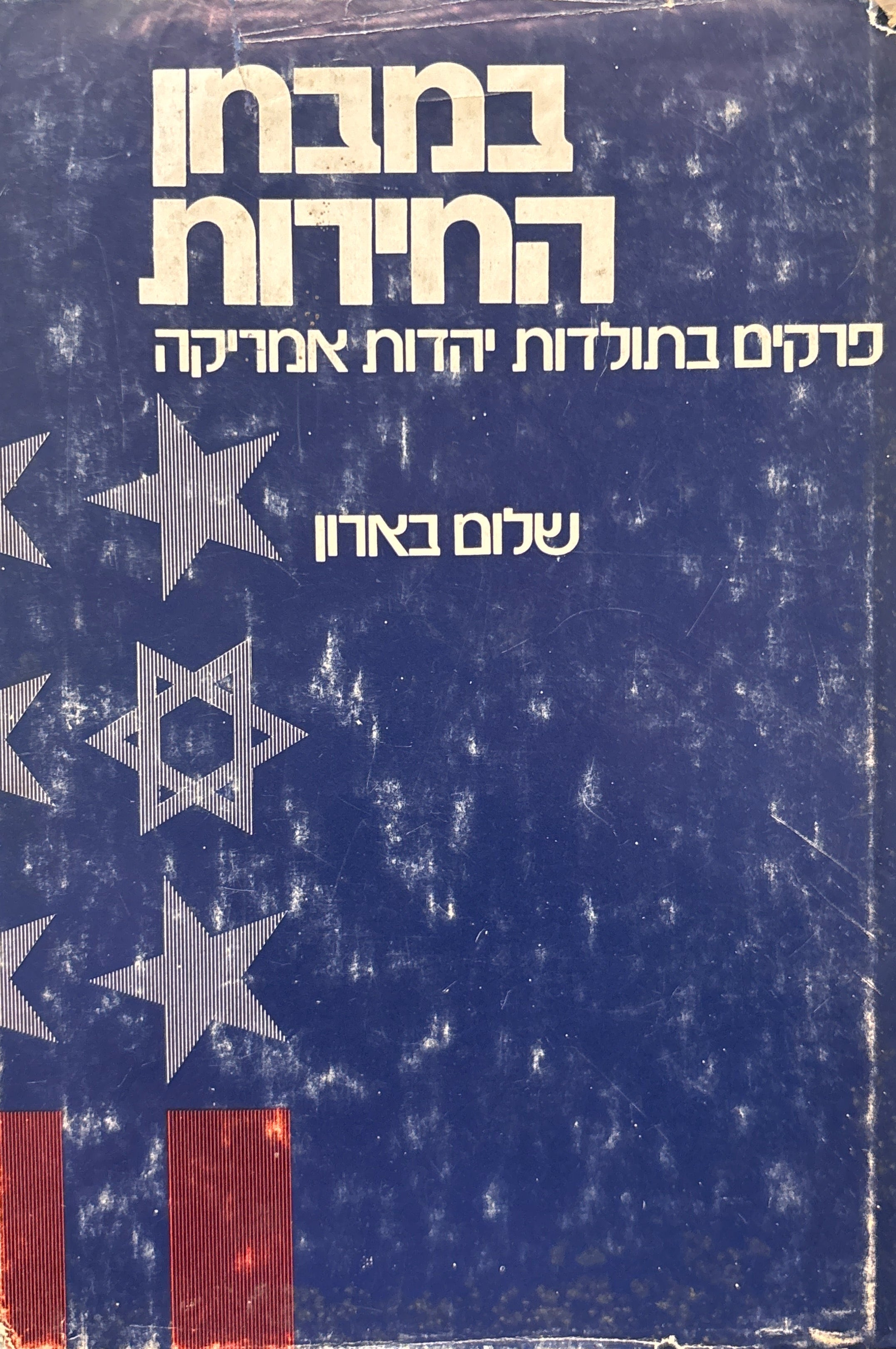 במבחן החירות / פרקים בתולדות יהדות אמריקה