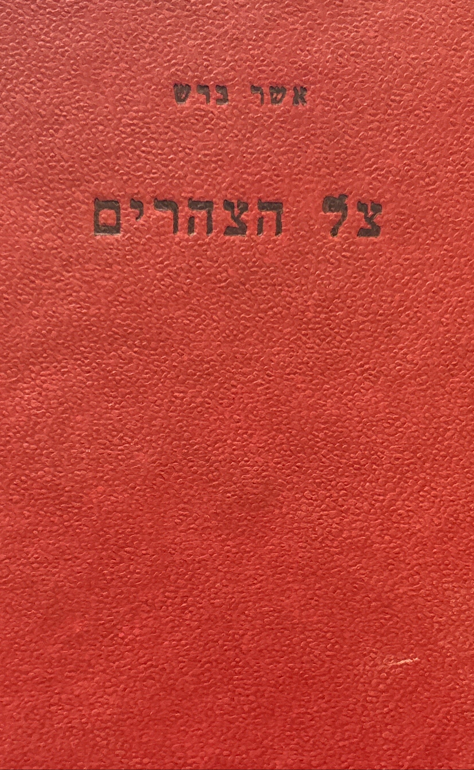 צל צהרים / שירים