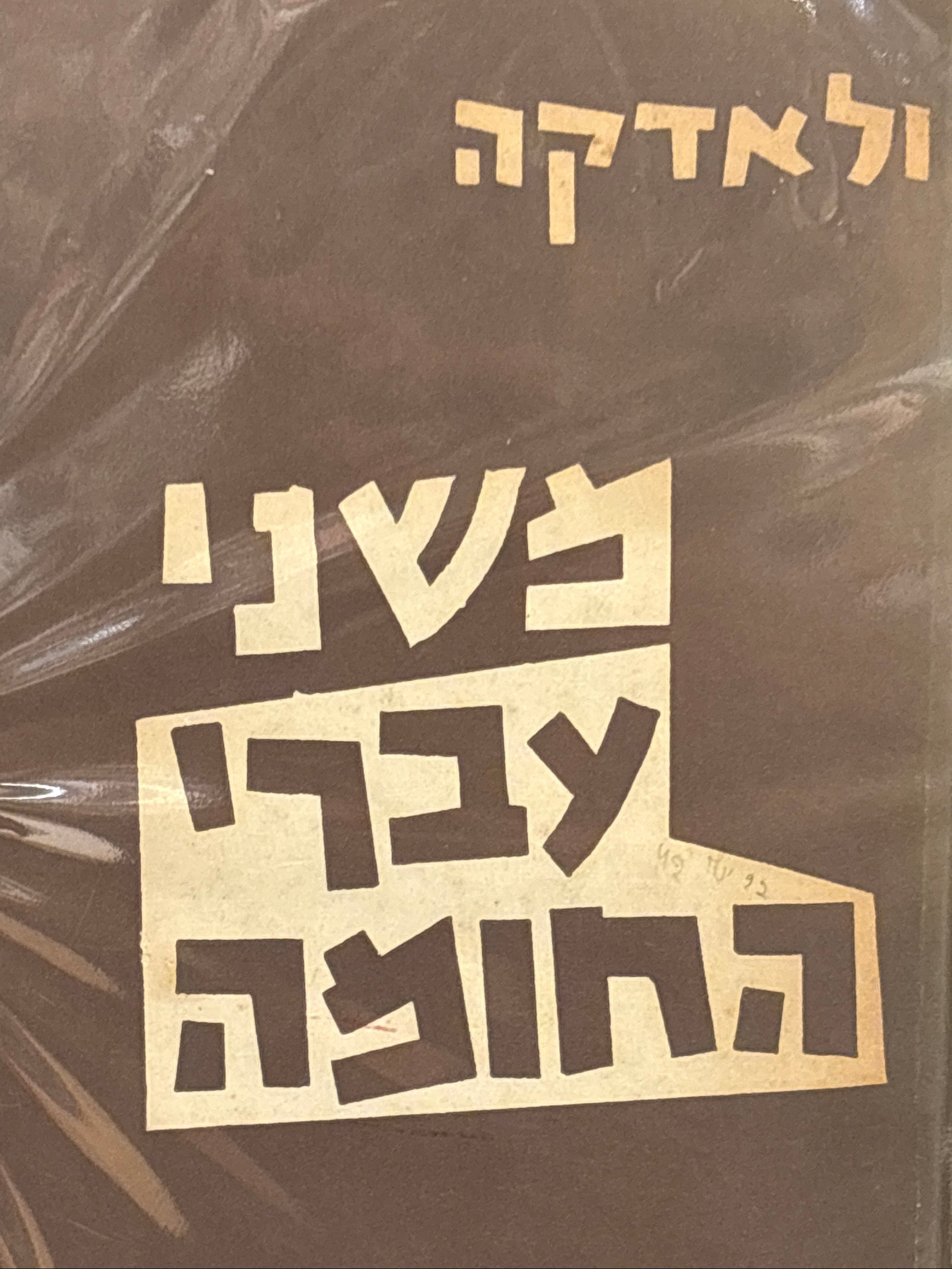 משני עברי החומה / זכרונותיה של קשרית / מיידיש צבי ארד