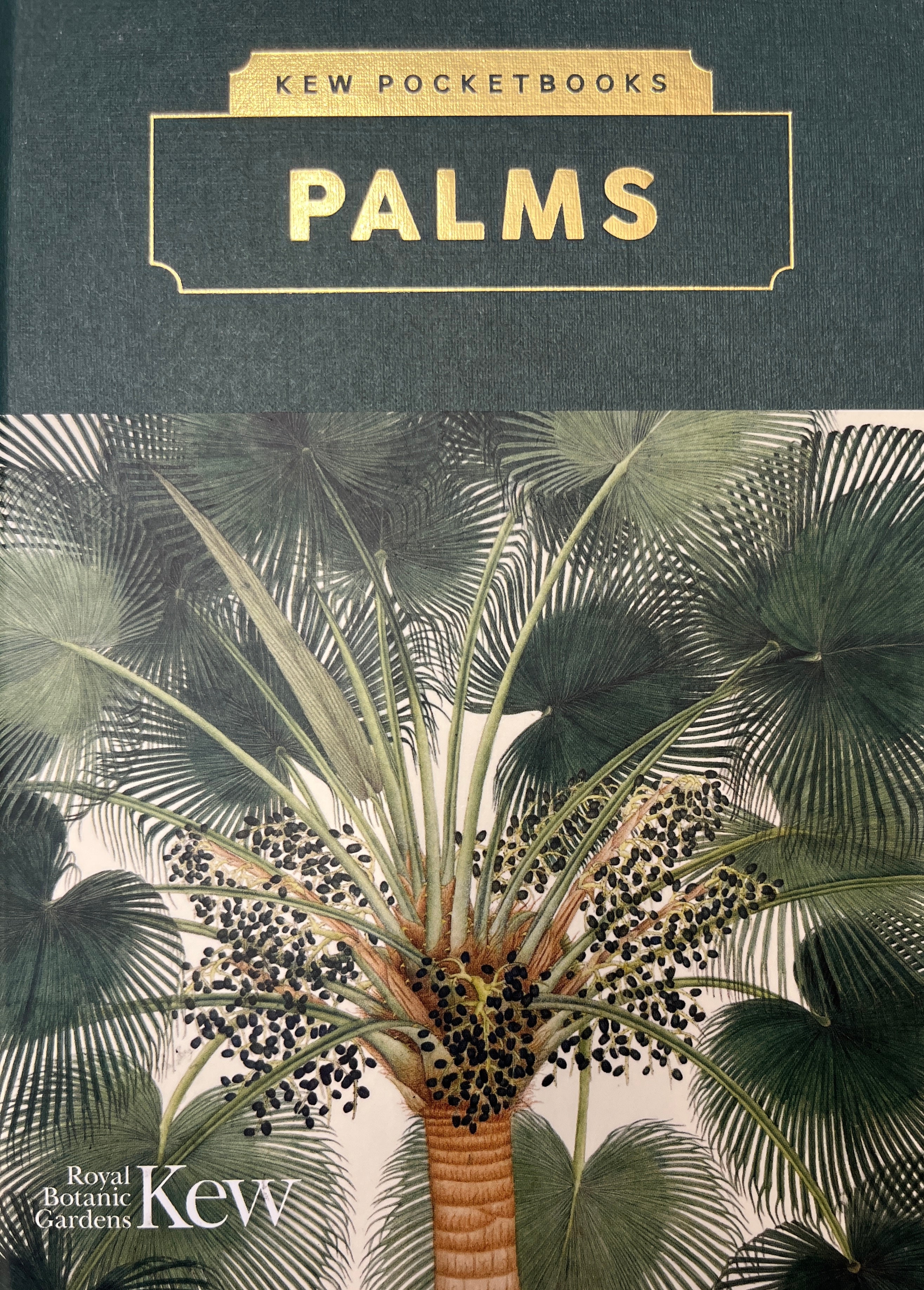 KEW POCKETBOOKS / PALMS