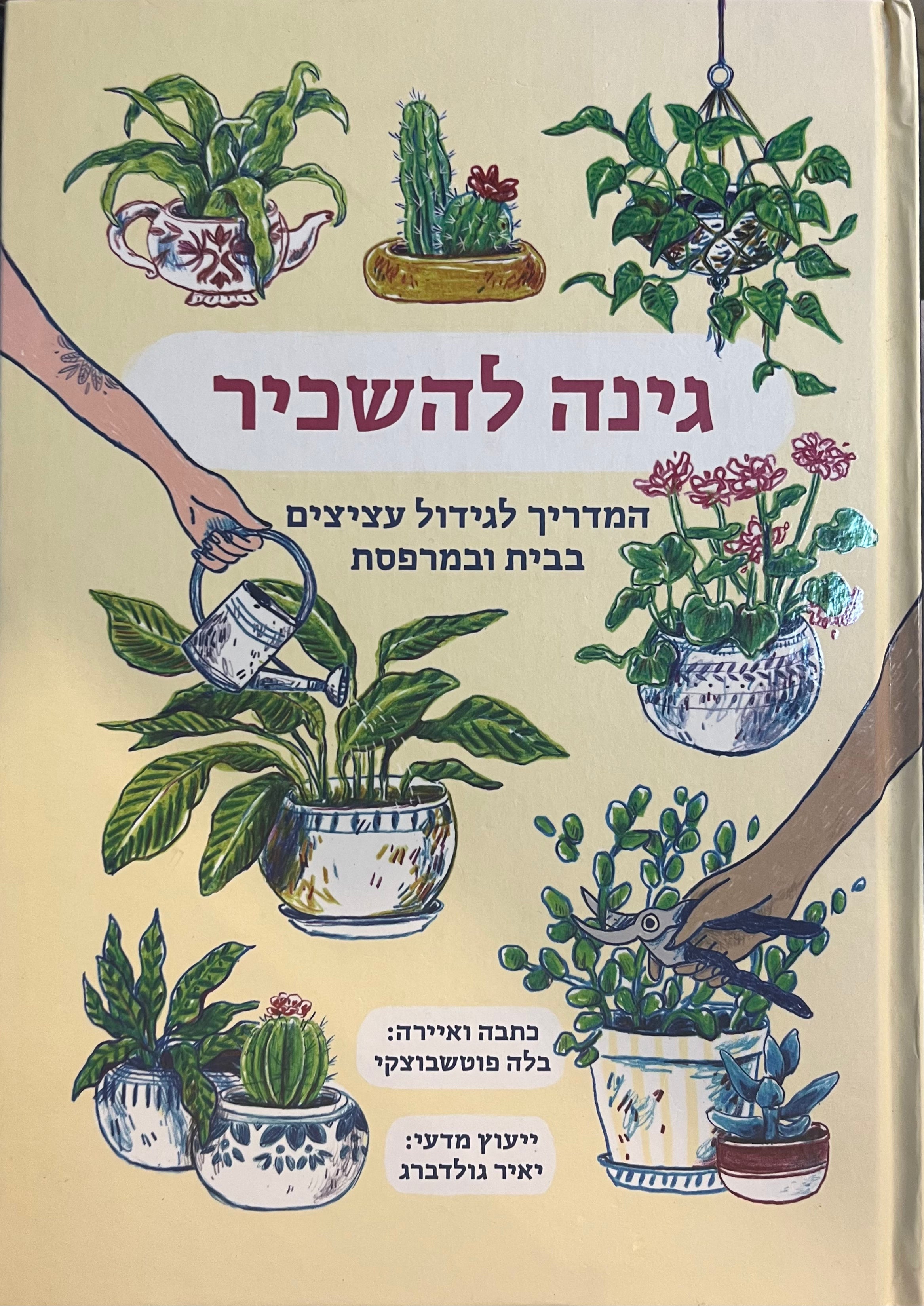 גינה להשכיר/ המדריך לגידול עציצים בבית ובמרפסת
