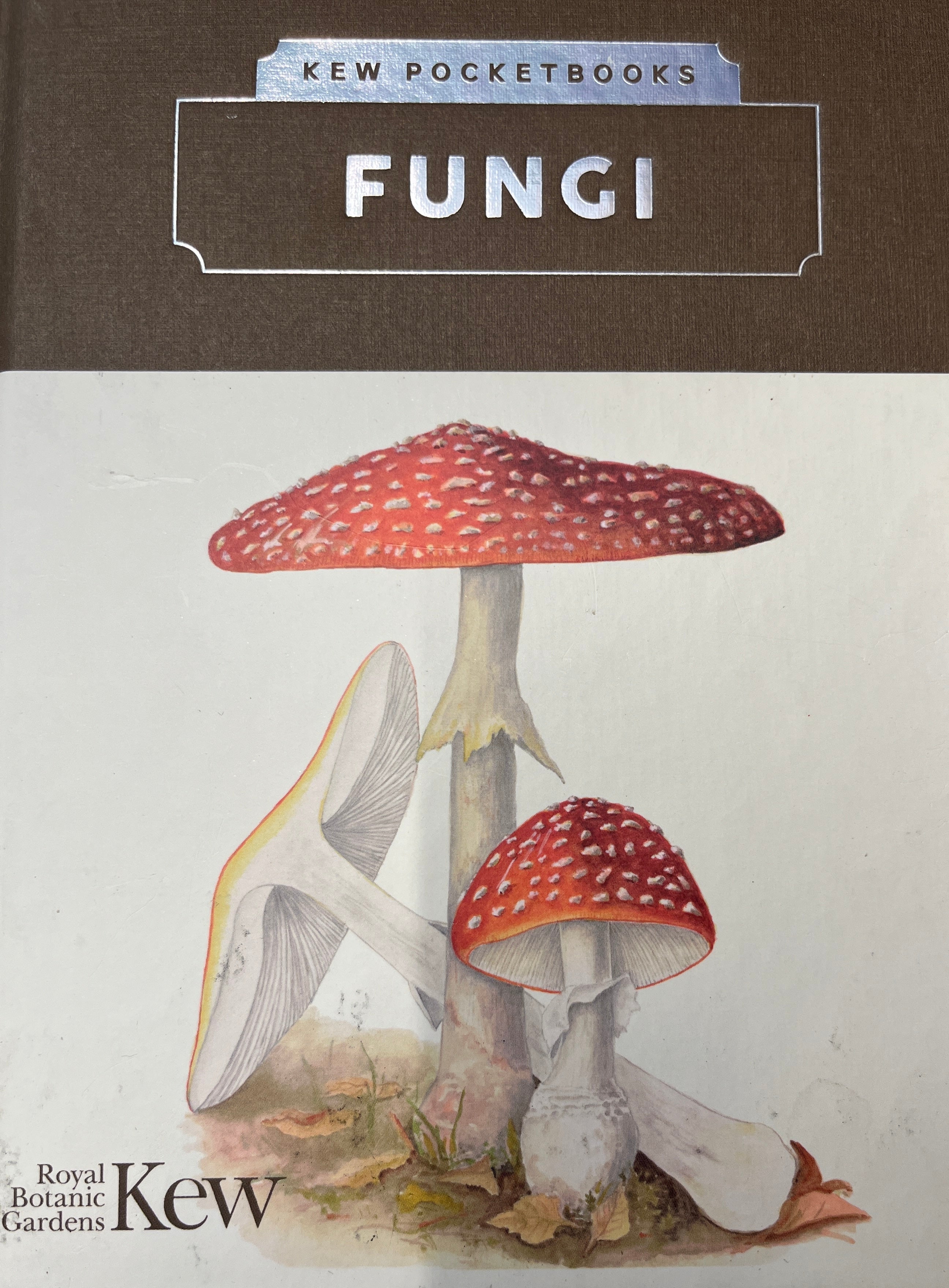 KEW POCKETBOOKS / FUNGI