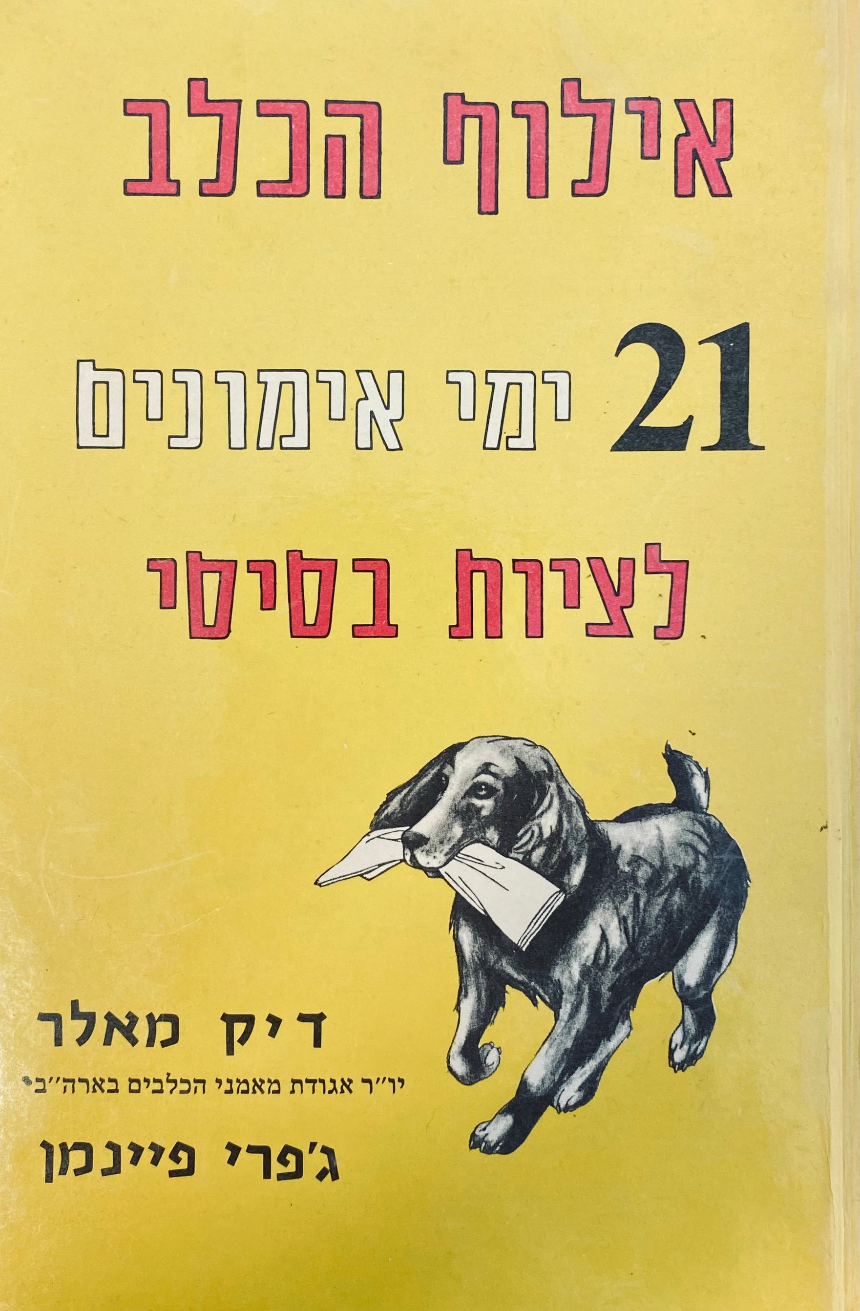 אילוף הכלב / 21 ימי אימונים לציות בסיסי