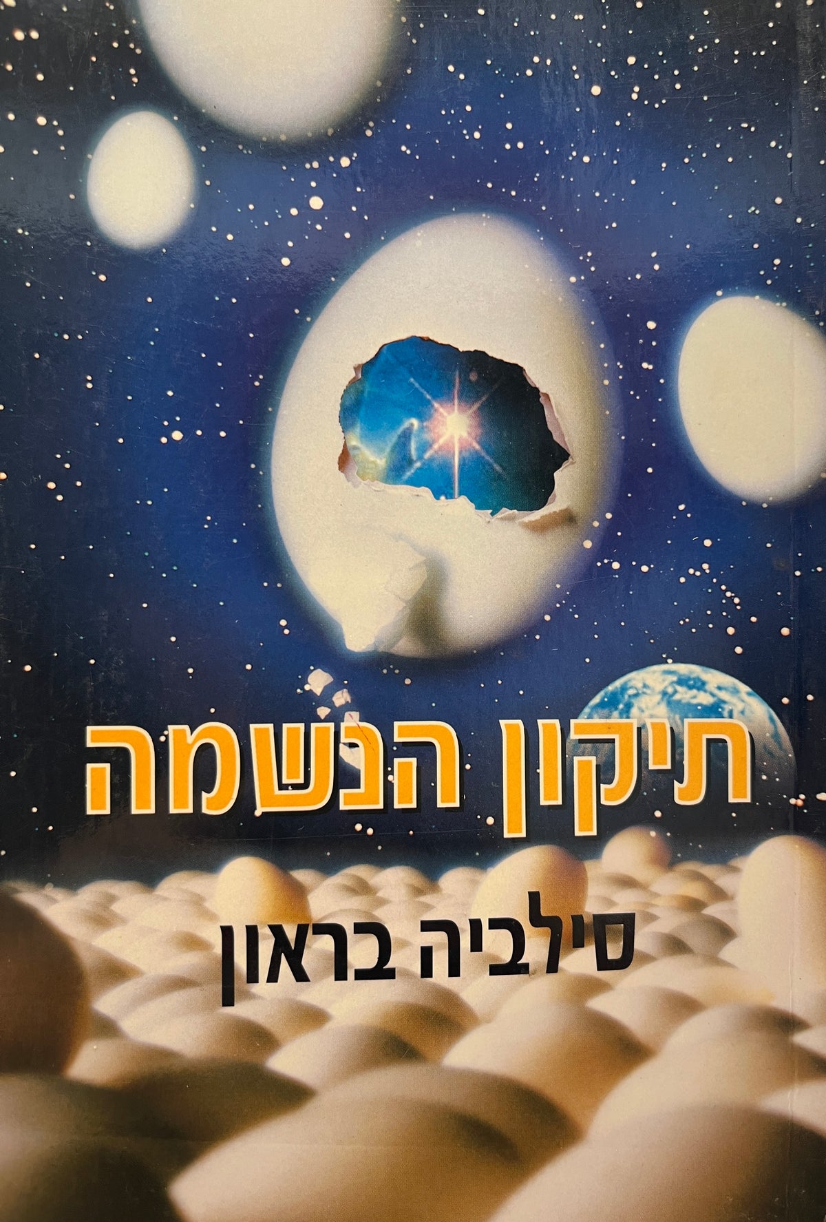 תיקון הנשמה