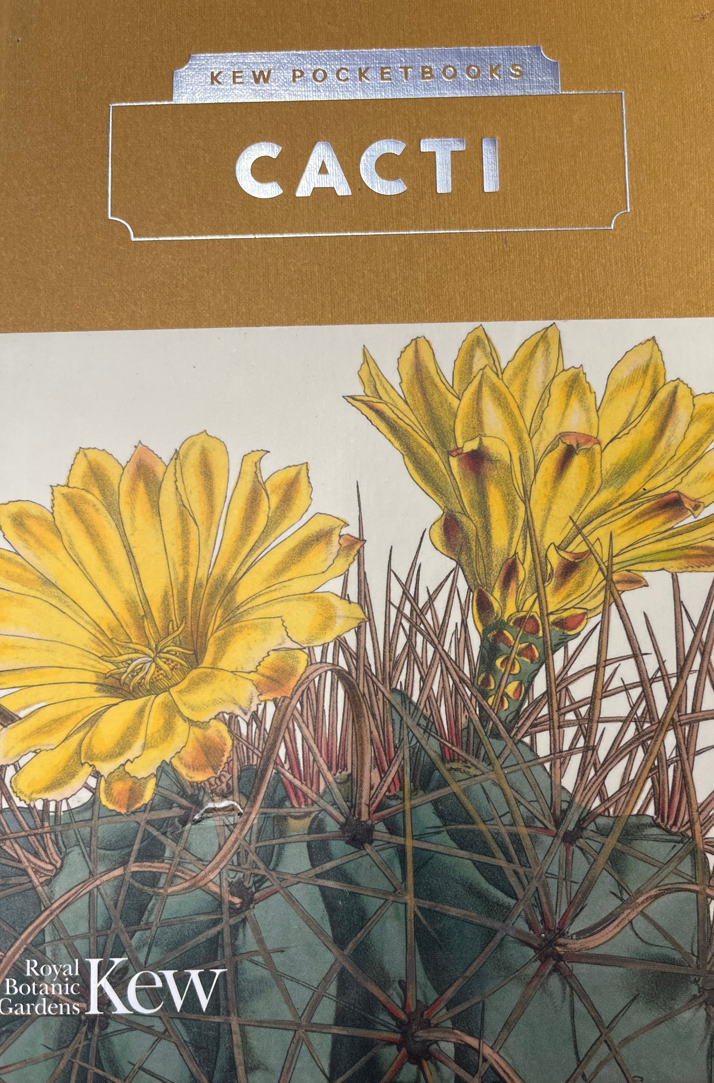 KEW POCKETBOOKS / CACTI