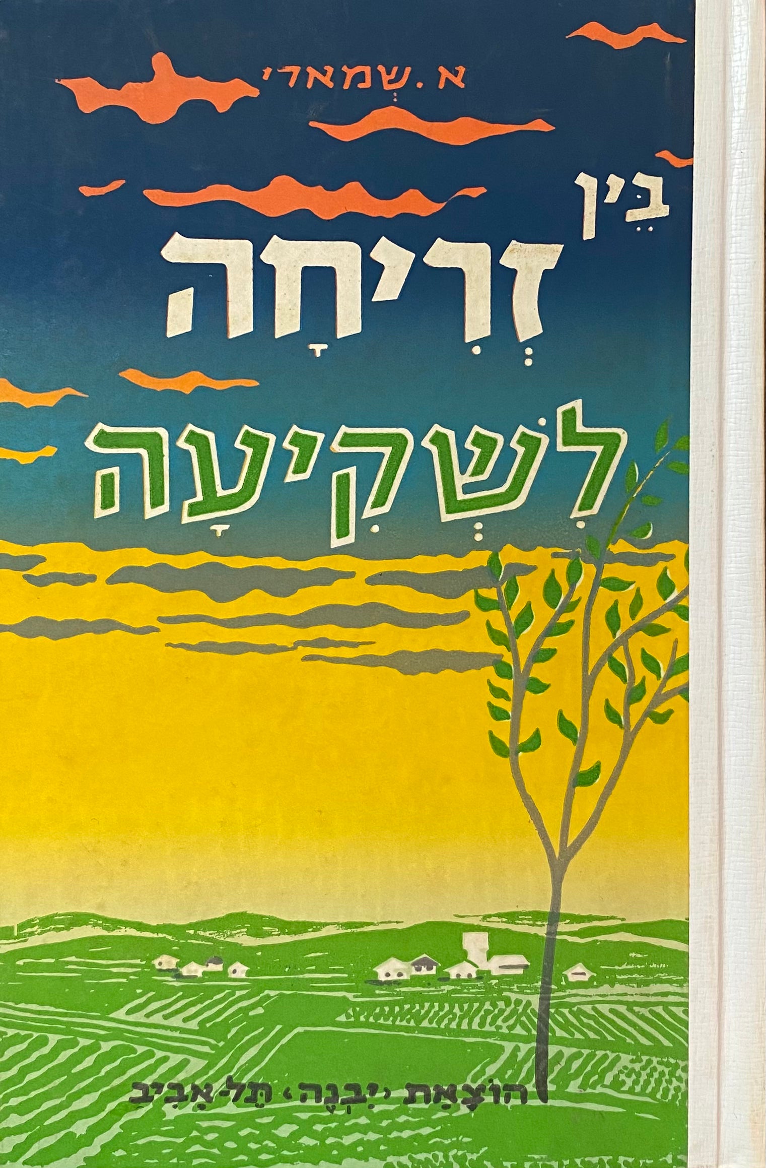 בין זריחה לשקיעה: ספורים