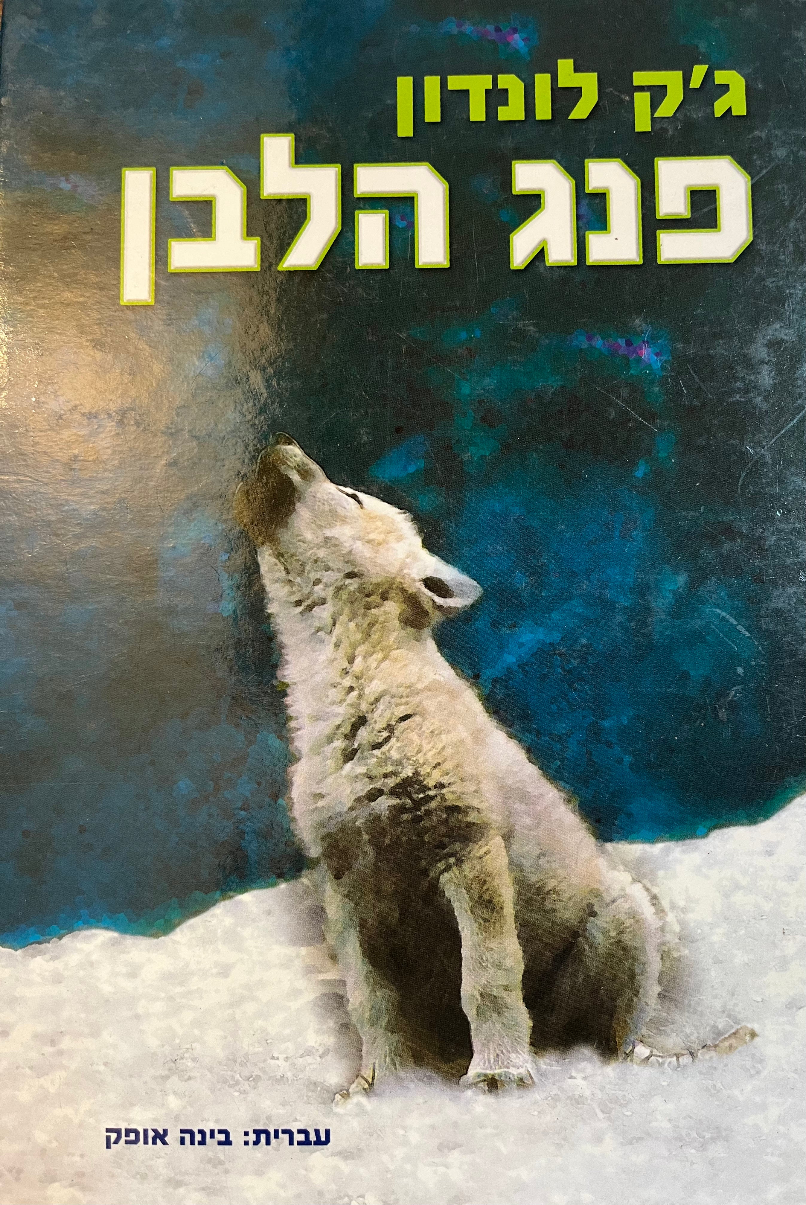 פנג הלבן / תרגום בינה אופק