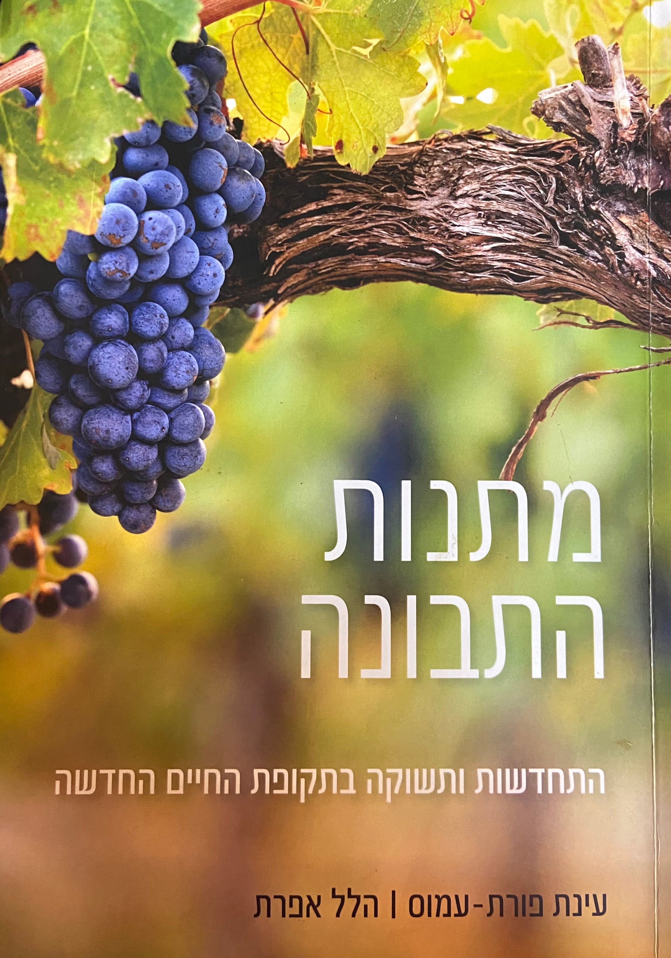 מתנות התבונה/ התחדשות ותשוקה בתקופת החיים החדשה