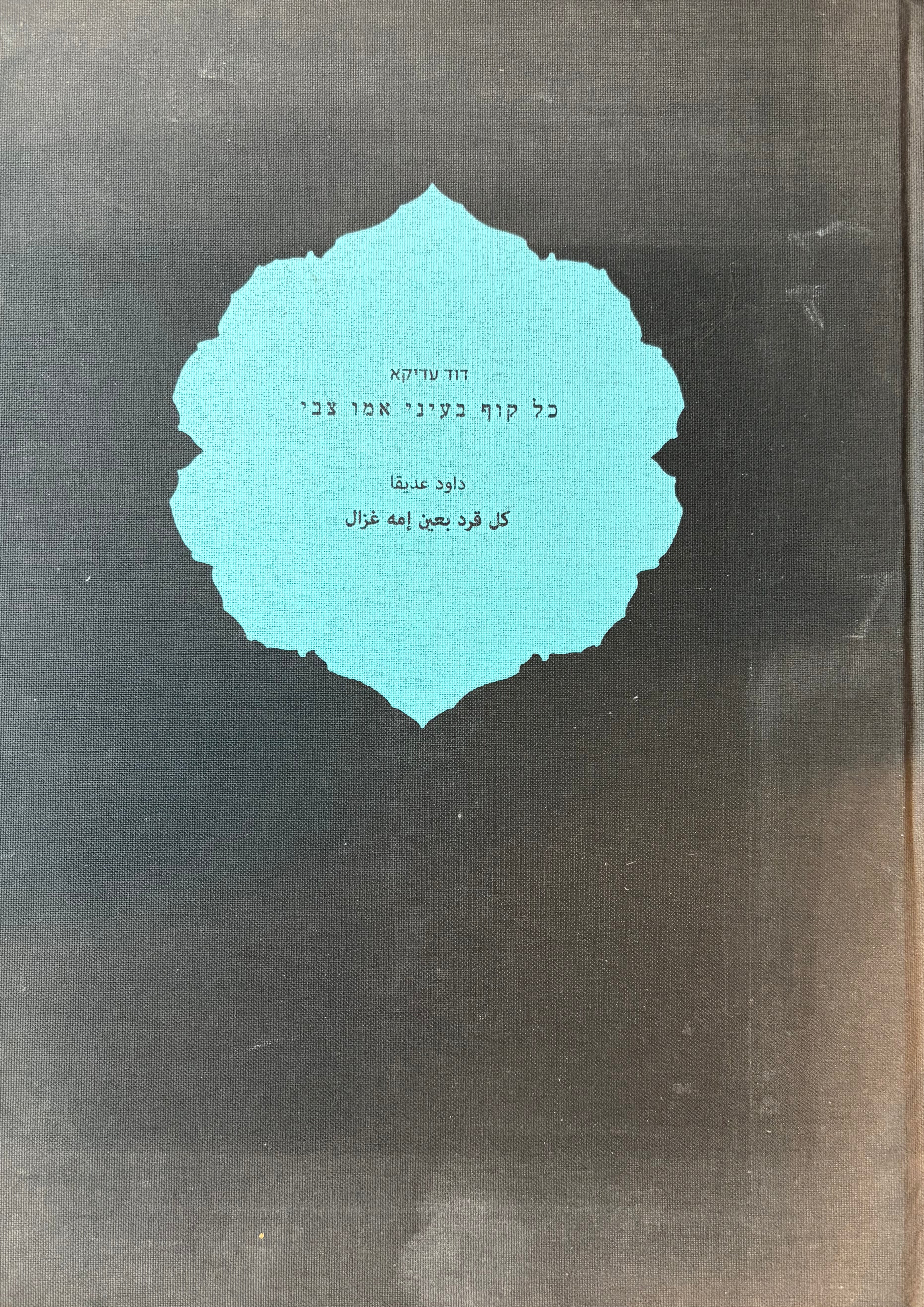 כל קוף בעיני אמו צבי