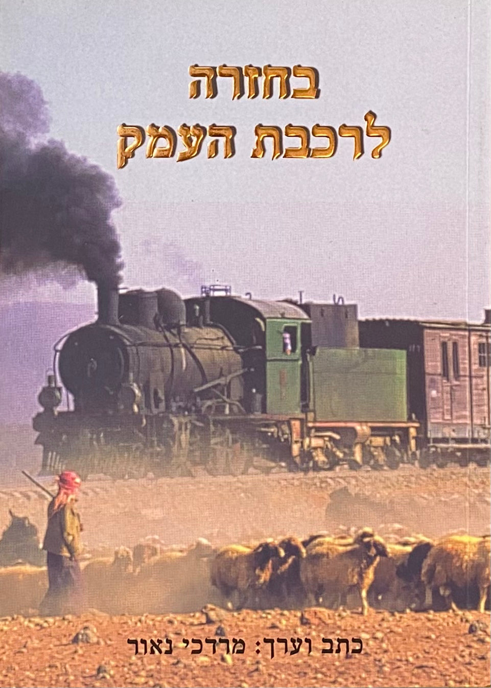 בחזרה לרכבת העמק