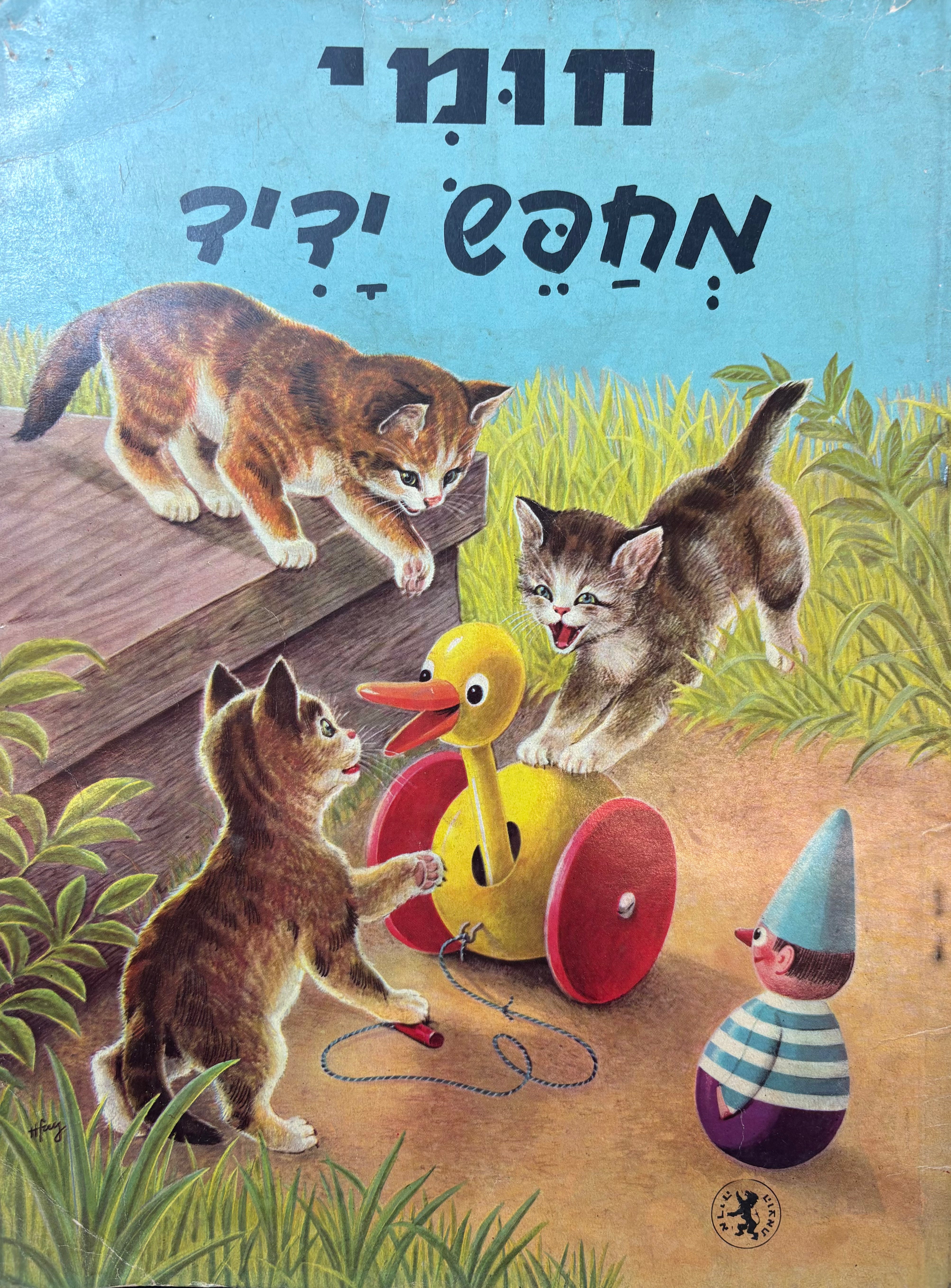 חומי מחפש ידיד