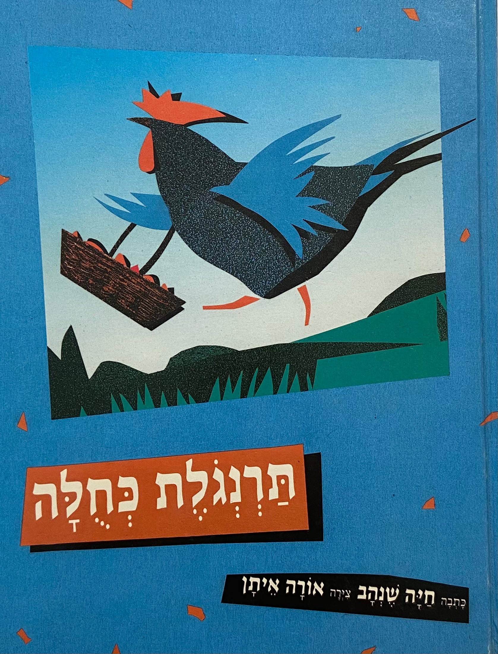 תרנגלת כחלה