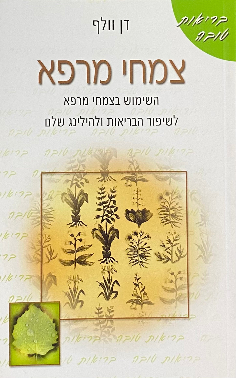 צמחי מרפא / השימוש בצמחי מרפא לשיפור הבריאות ולהילינג שלם