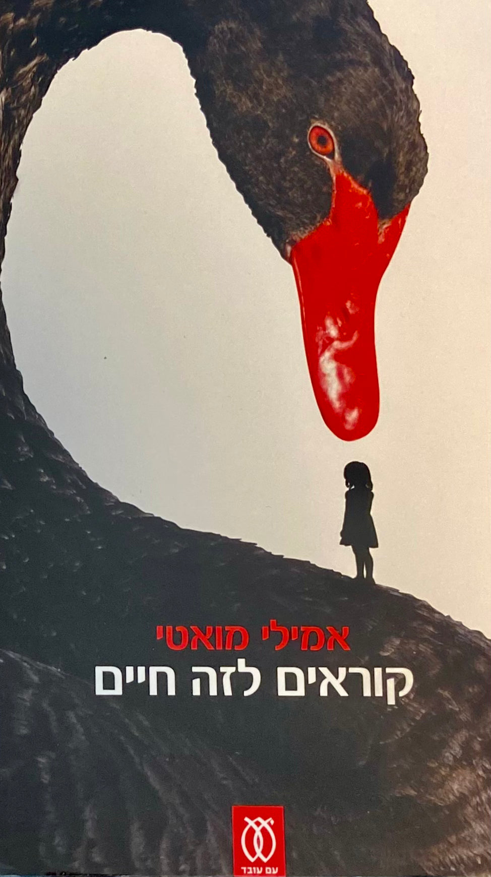 קוראים לזה חיים
