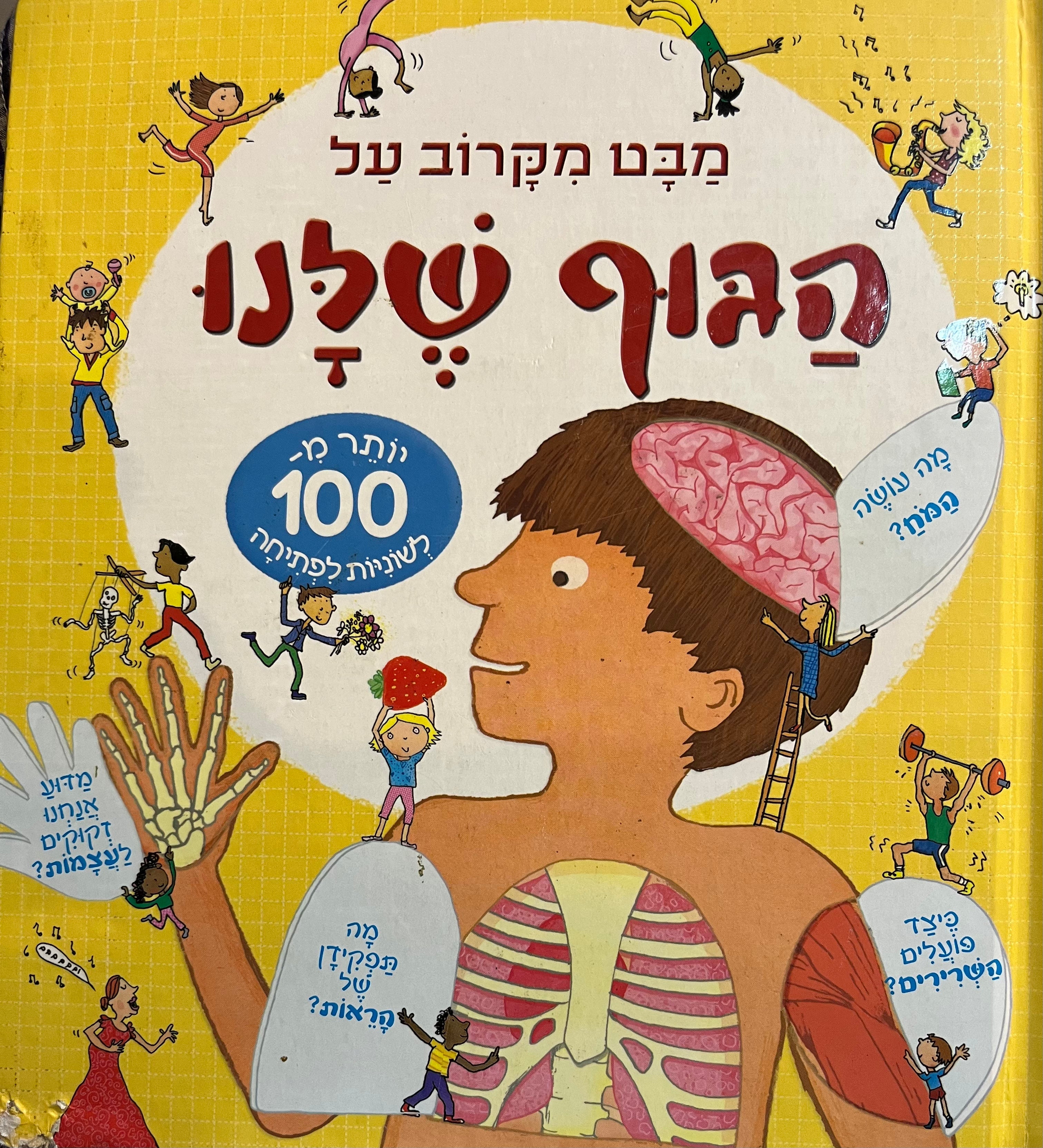 מבט מקרוב על הגוף שלנו