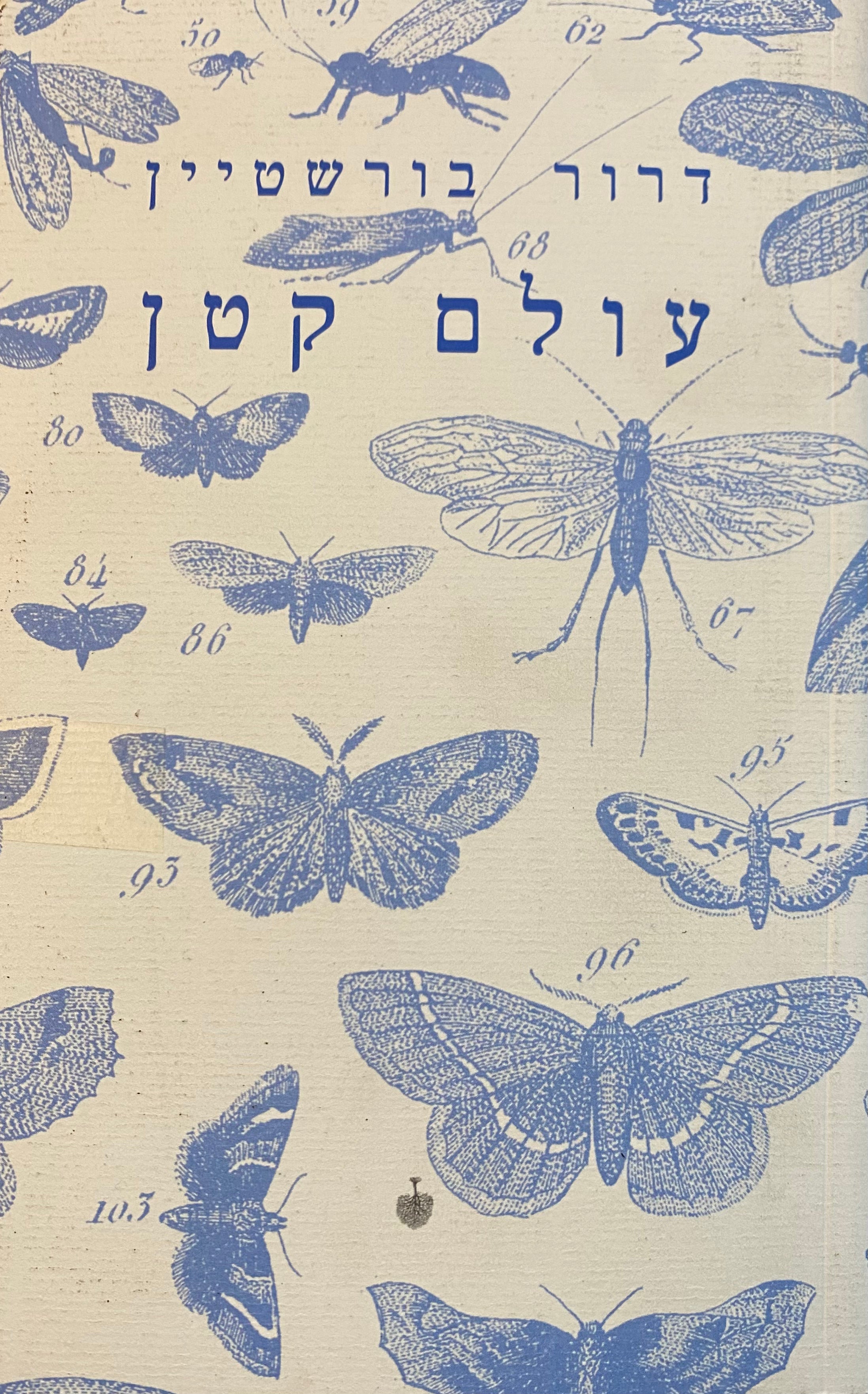 עולם קטן