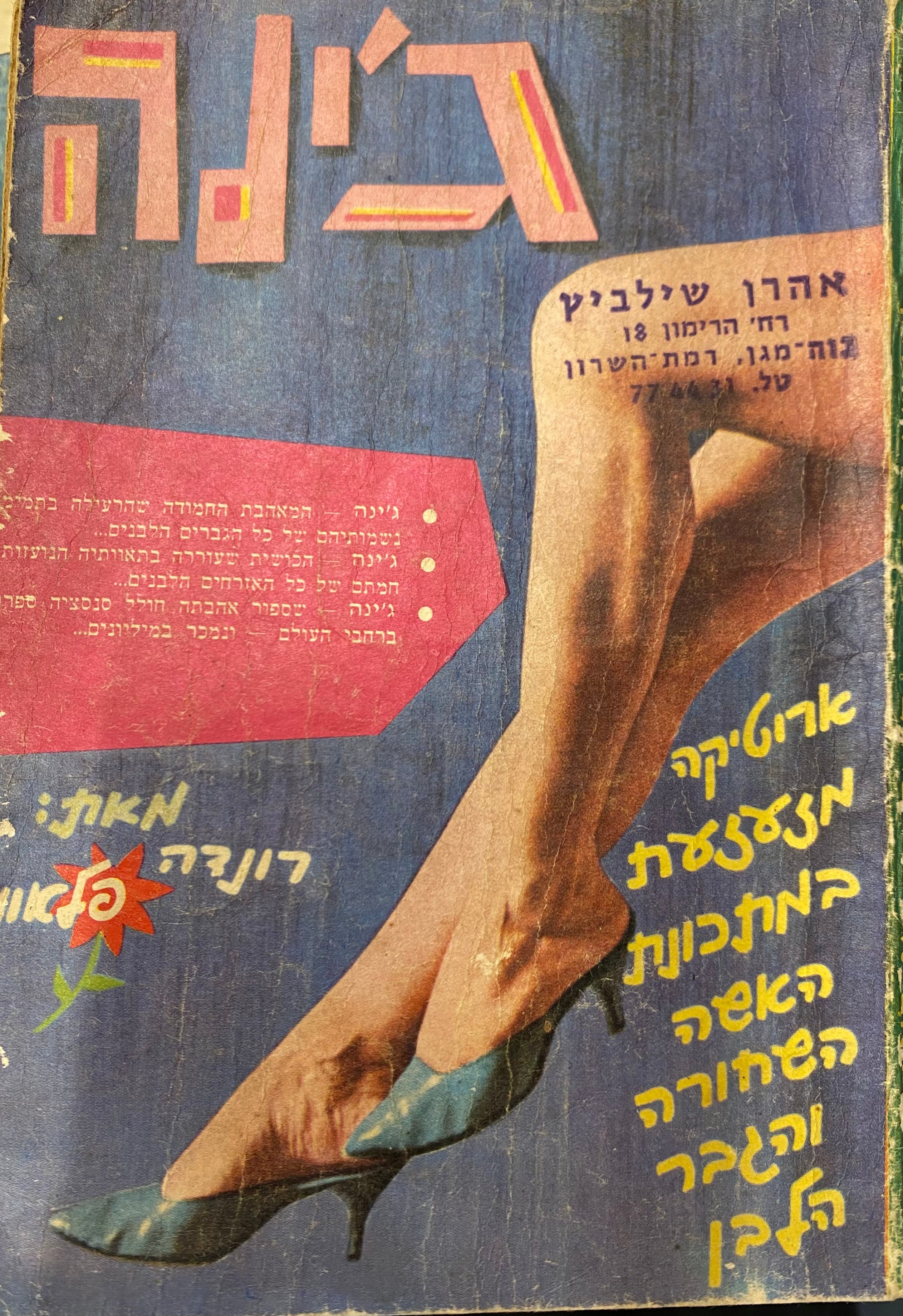 ג'ינה / רומן אהבה