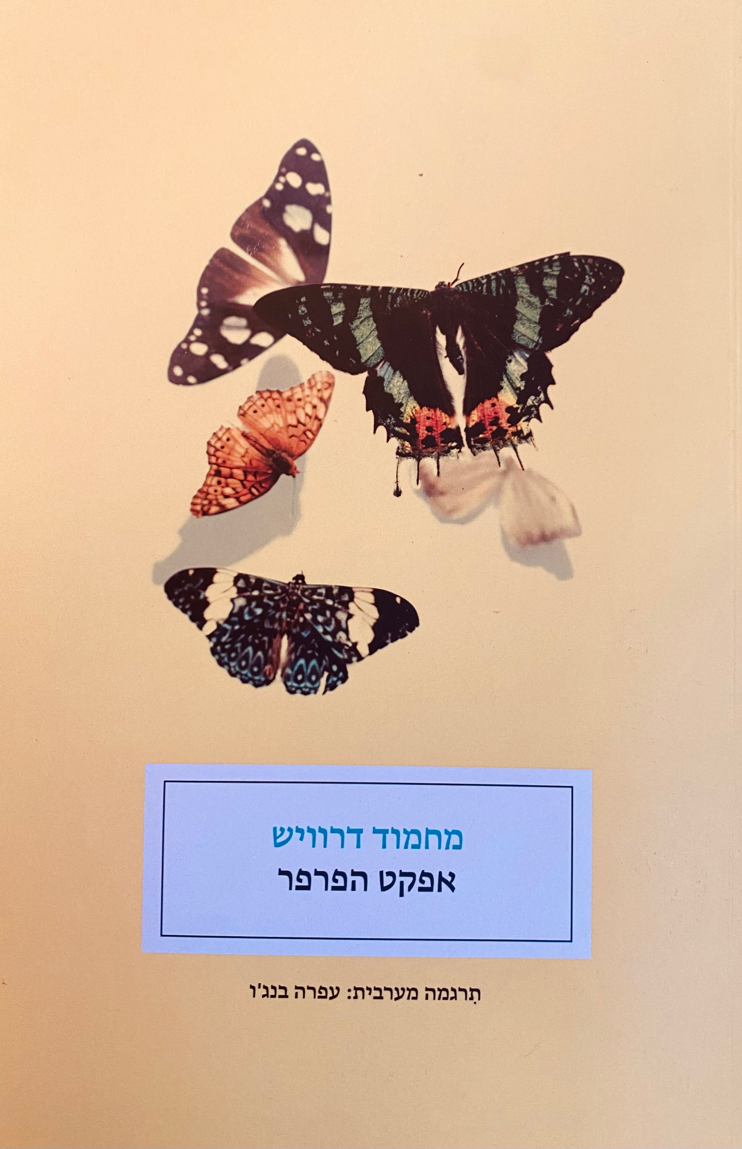 אפקט הפרפר