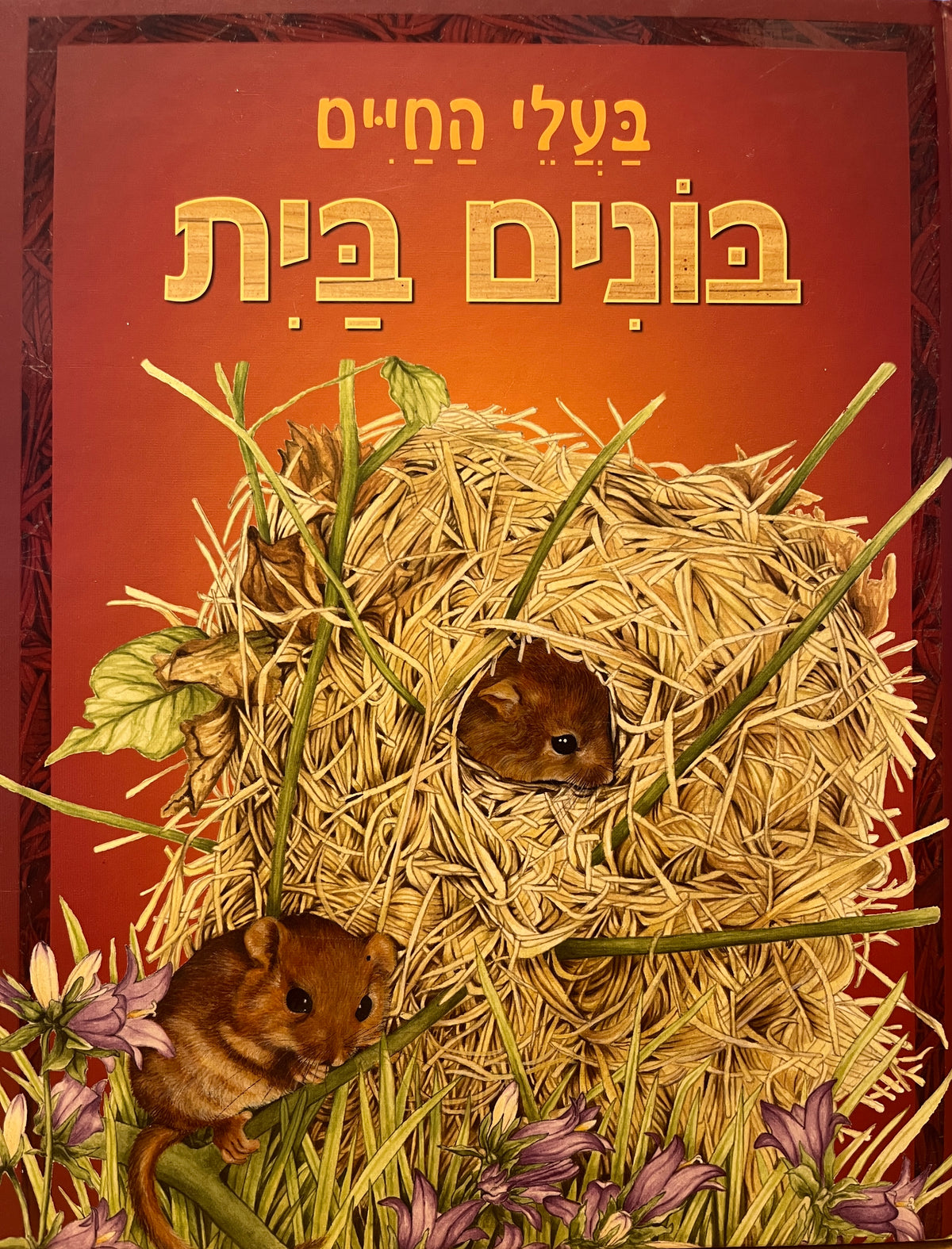 בעלי החיים בונים בית
