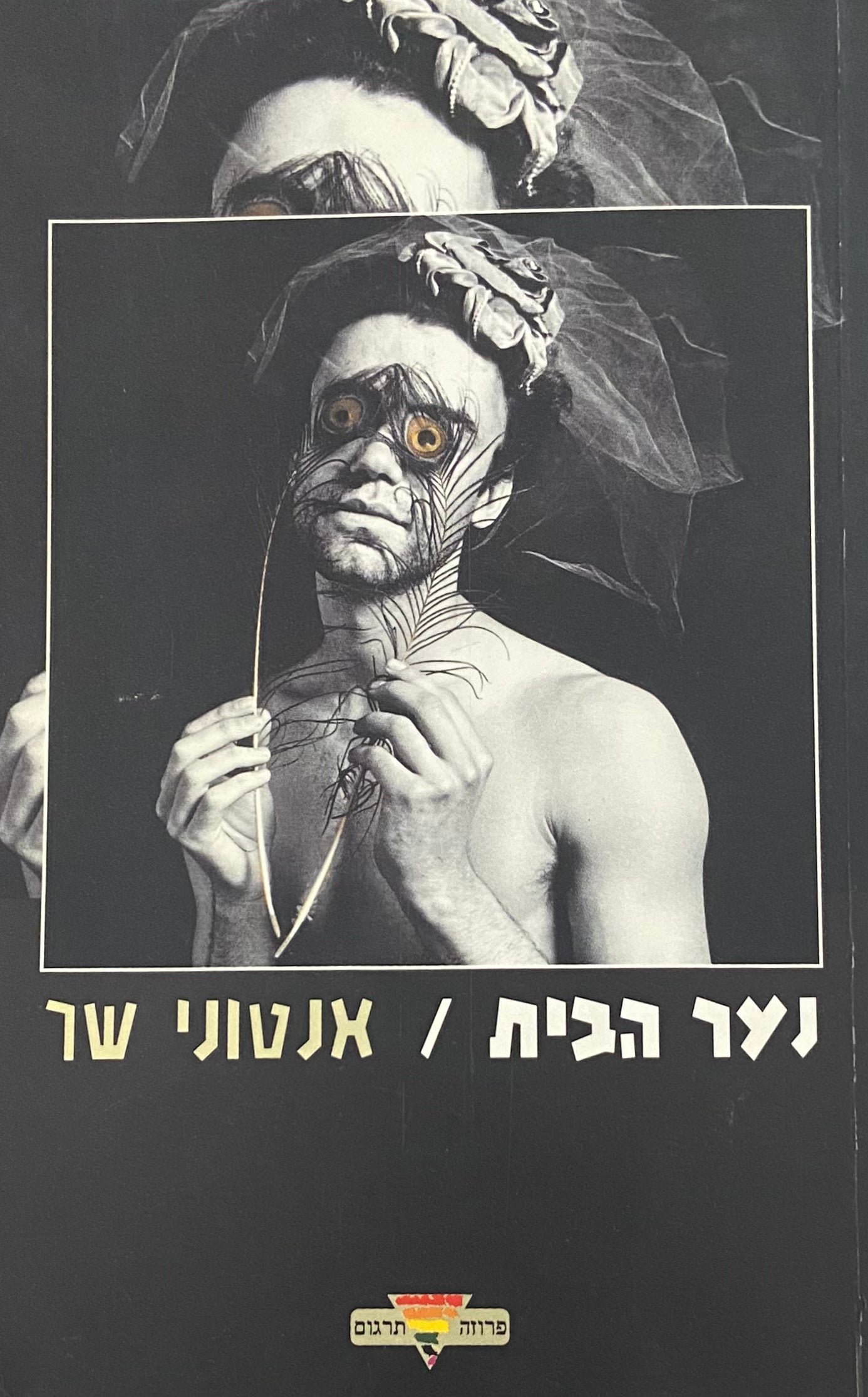 נער הבית