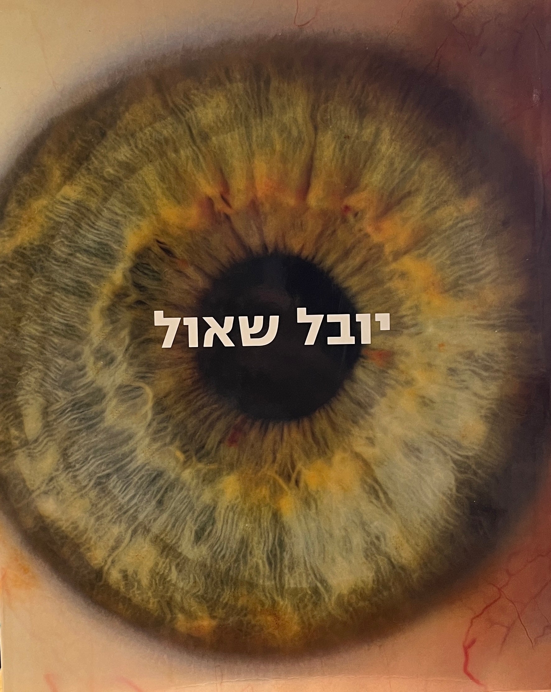 יובל שאול / אלימות וחמלה