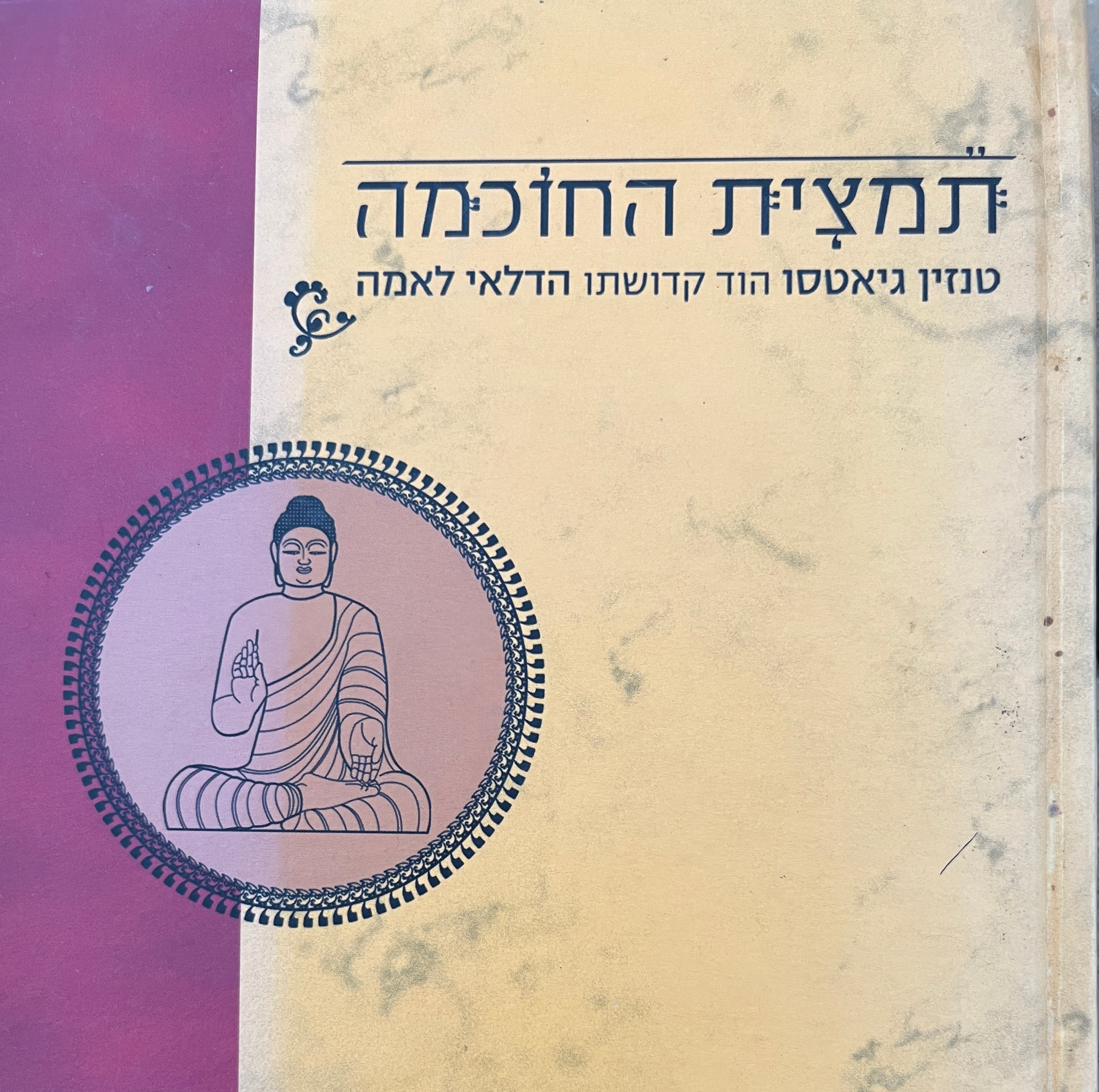 תמצית החוכמה / טנזין גיאטסו הוד קדשותו הדלאי לאמה