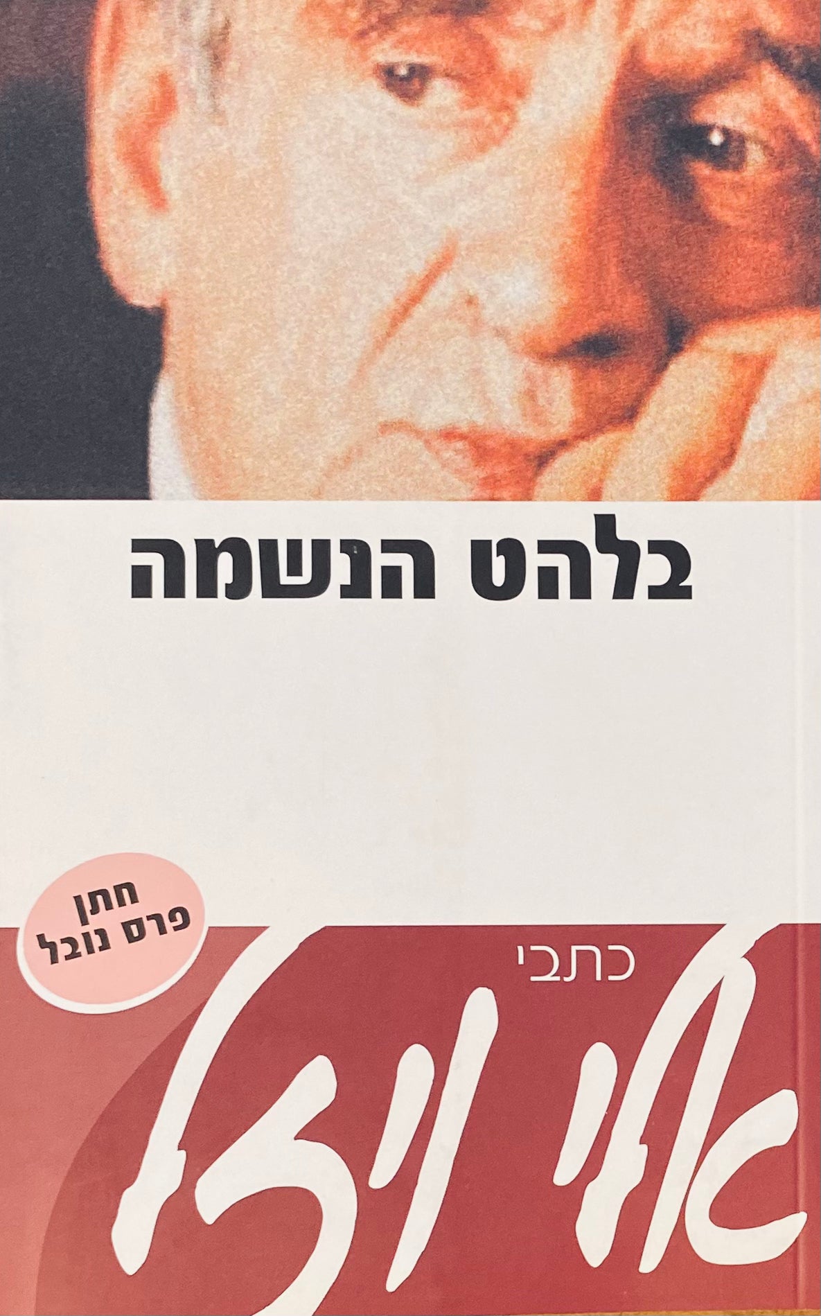 בלהט הנשמה / דיוקנאות ואגדות חסידים
