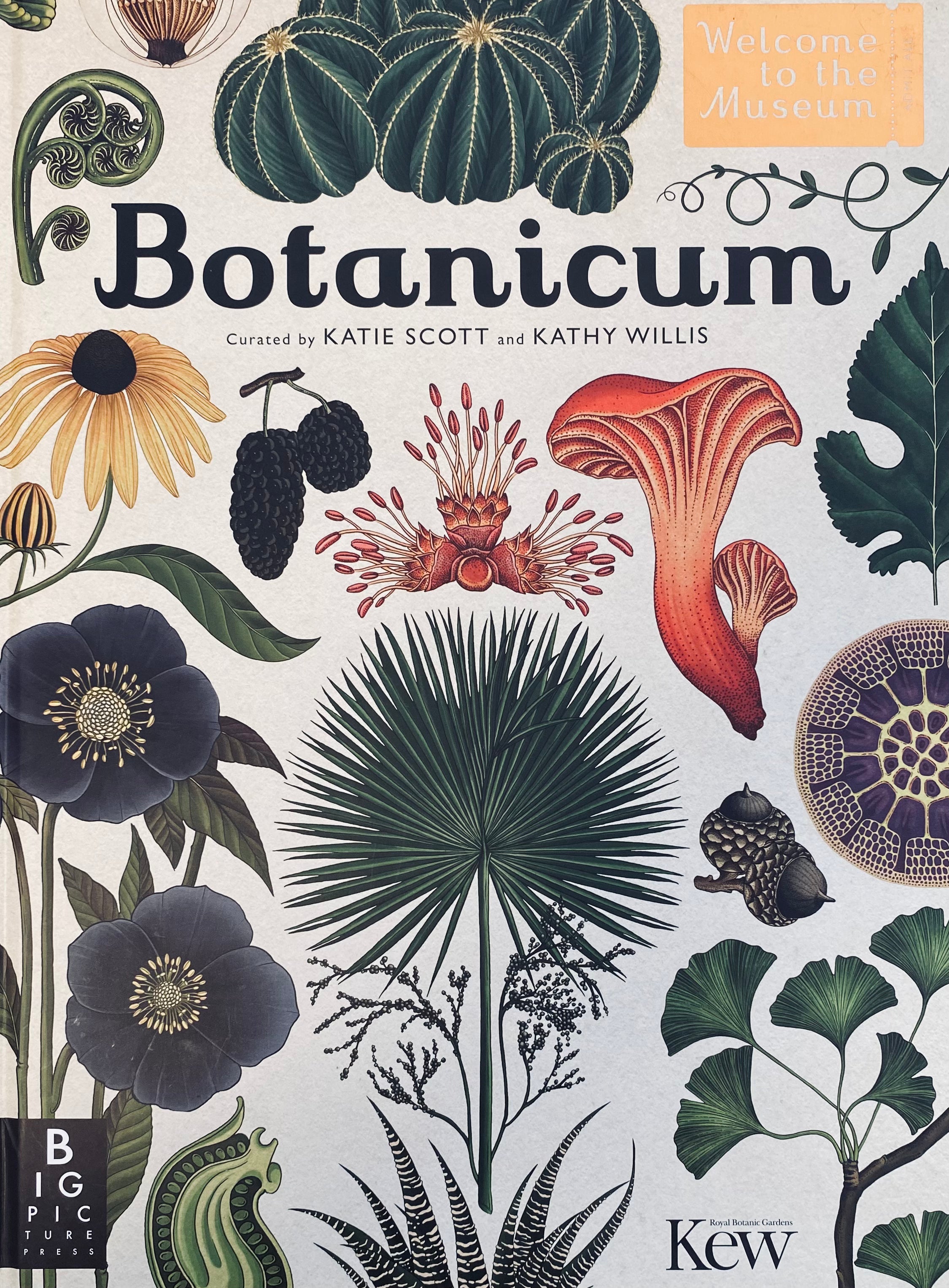 Botanicum / curated by Kathy Willis, Katie Scott