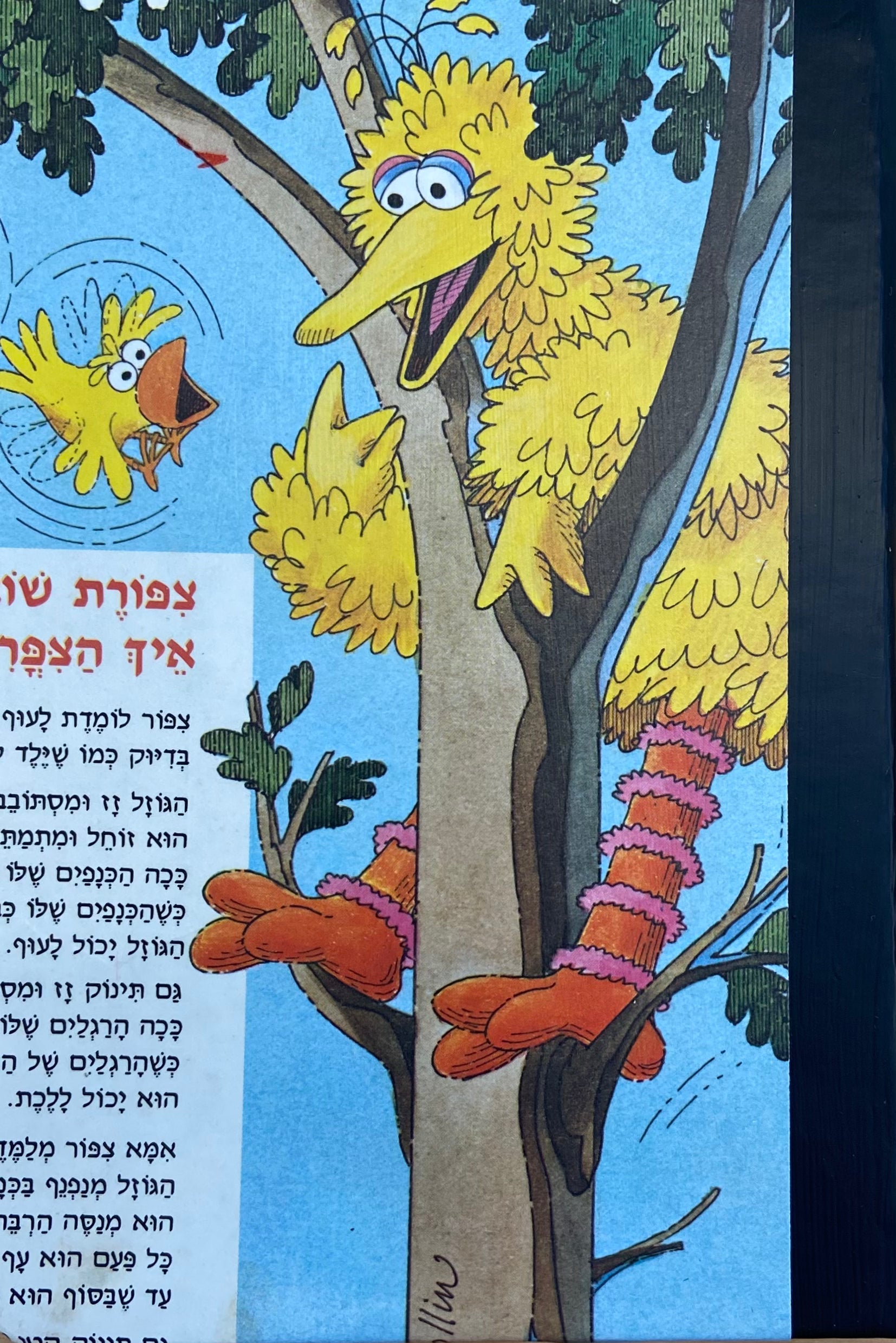 מחברת בעבודת יד / רחוב סומסום: ציפור שואלת - דפים חלקים