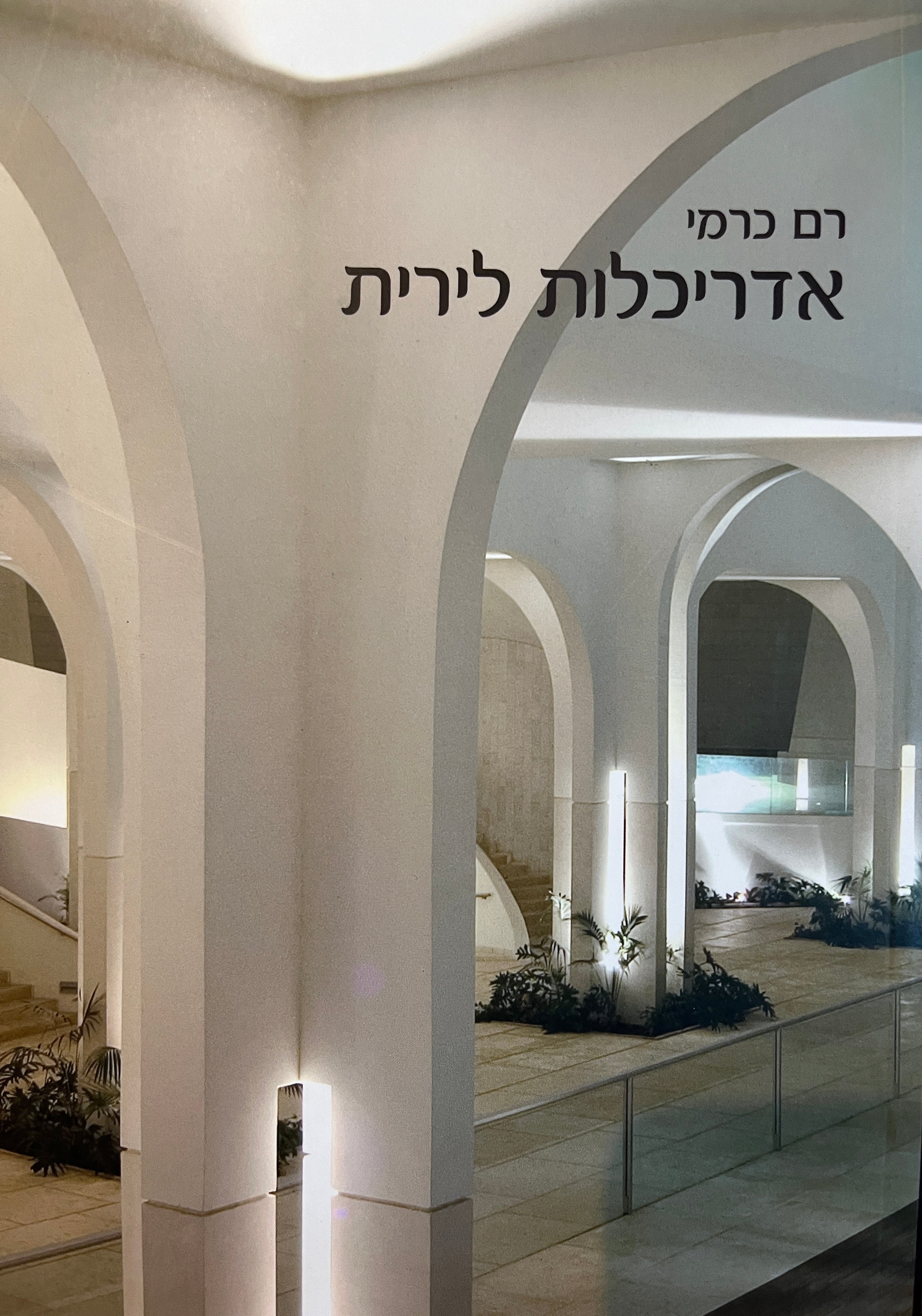 אדריכלות לירית