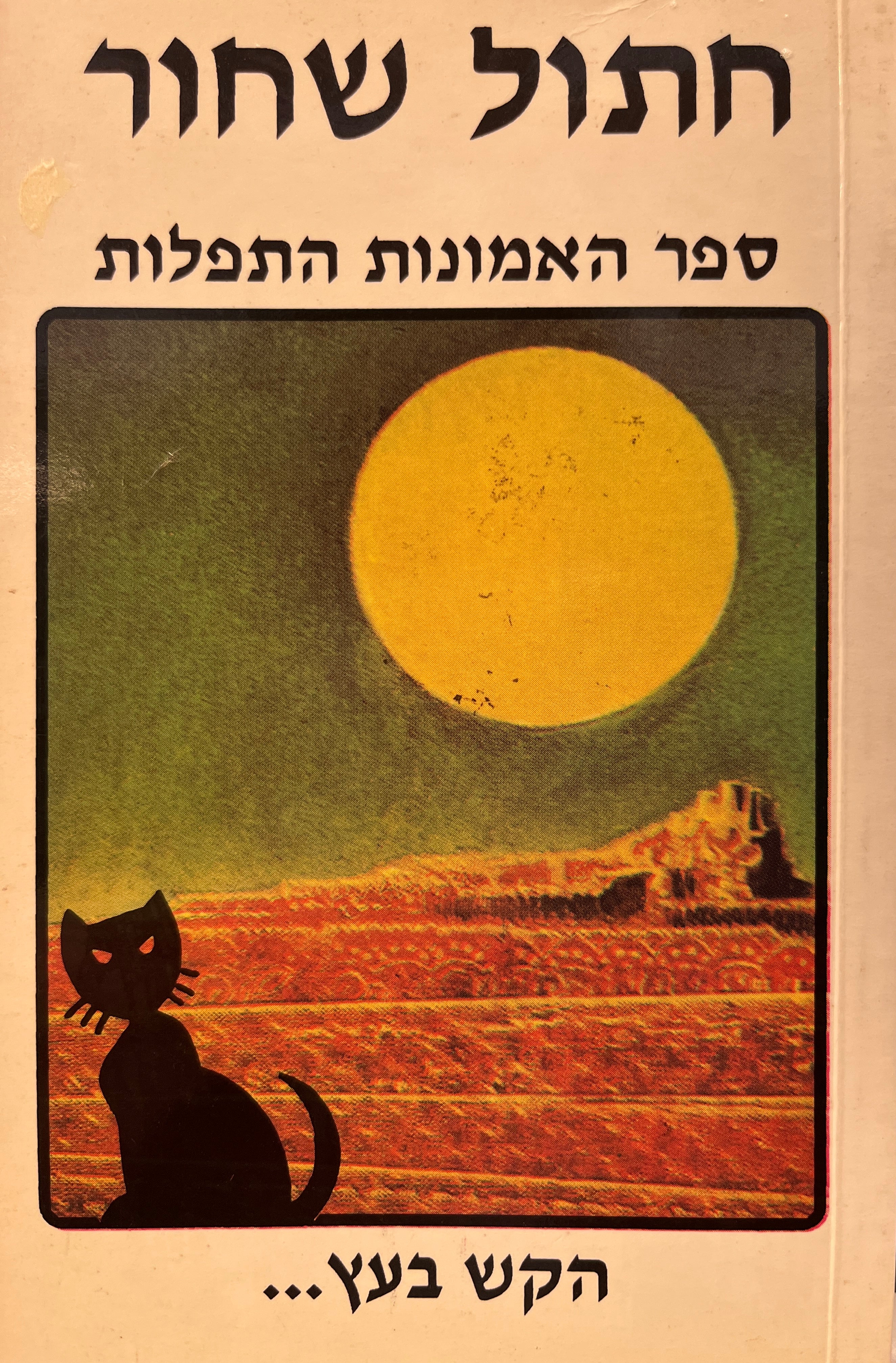 חתול שחור / ספר האמונות התפלות