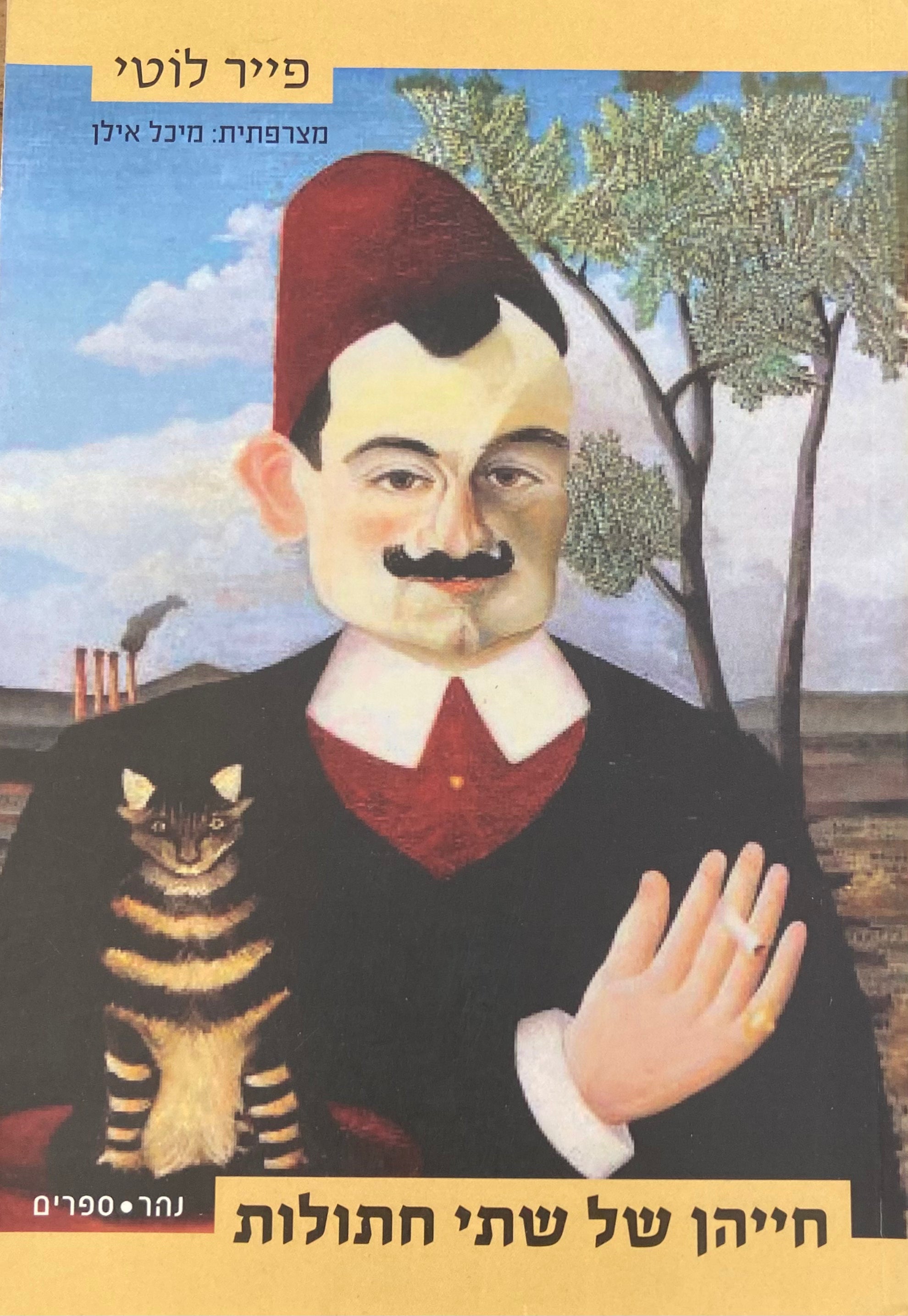חייהן של שתי חתולות