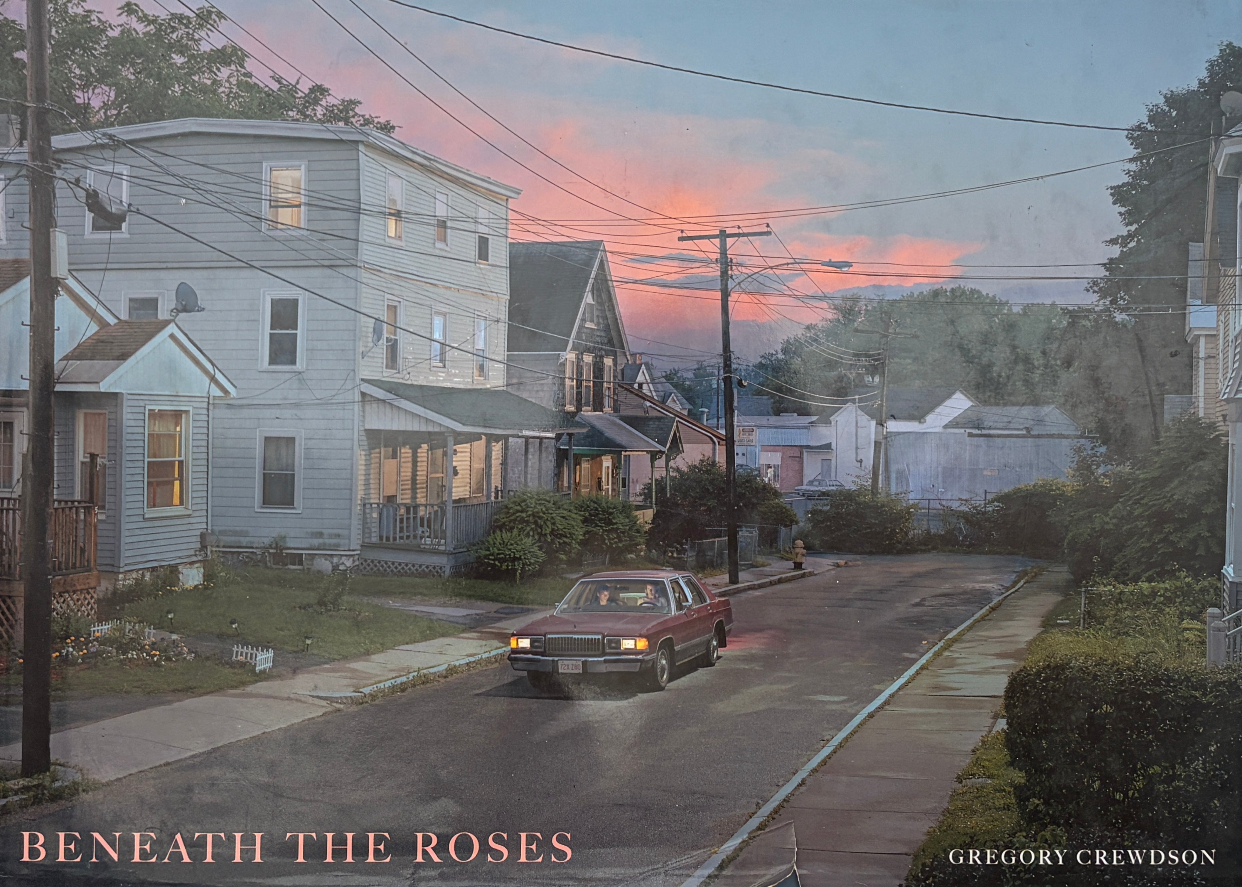 Beneath the Roses