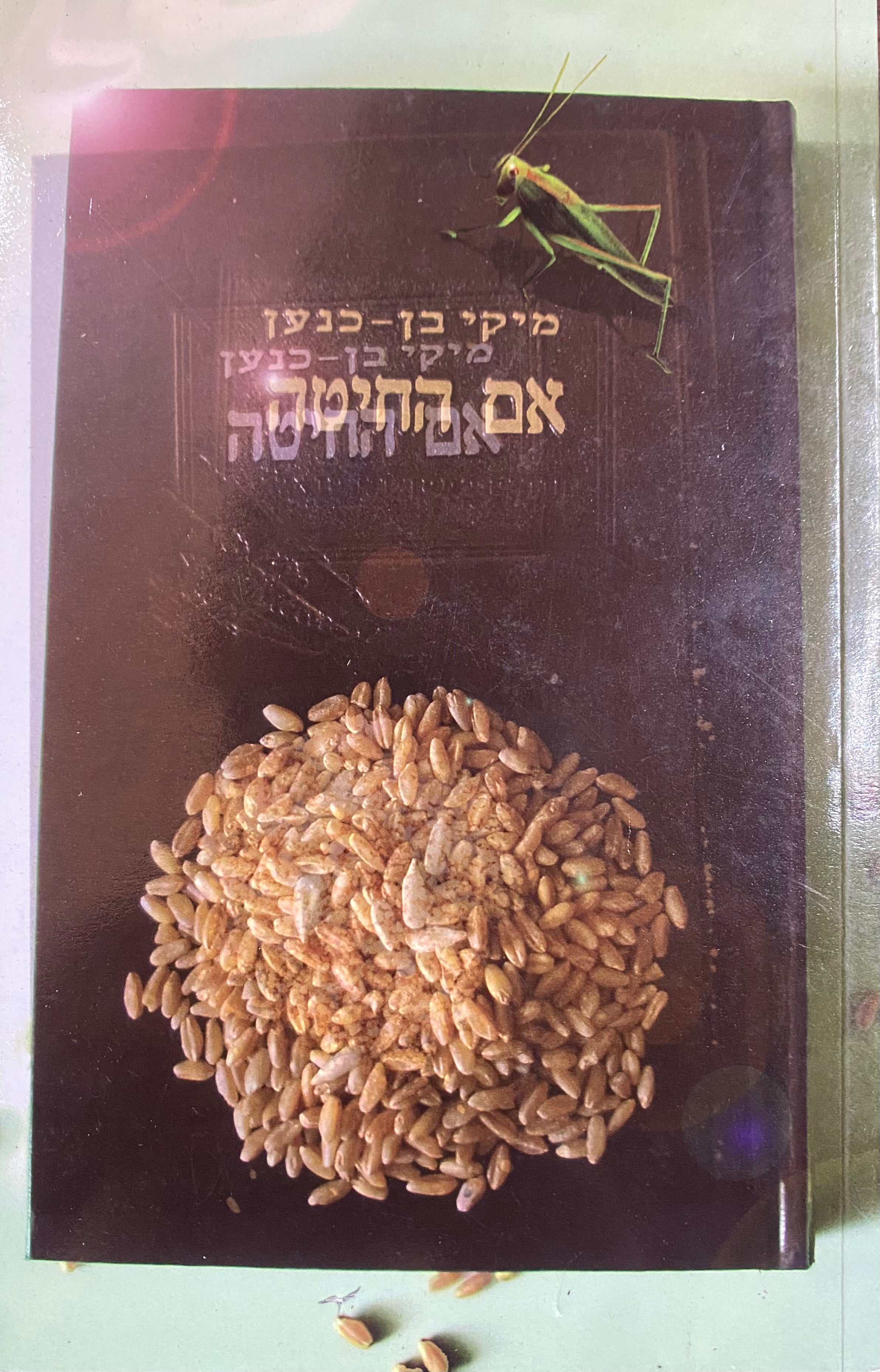אם החיטה: חורים במסך וירטואלי / מהדורה מחודשת