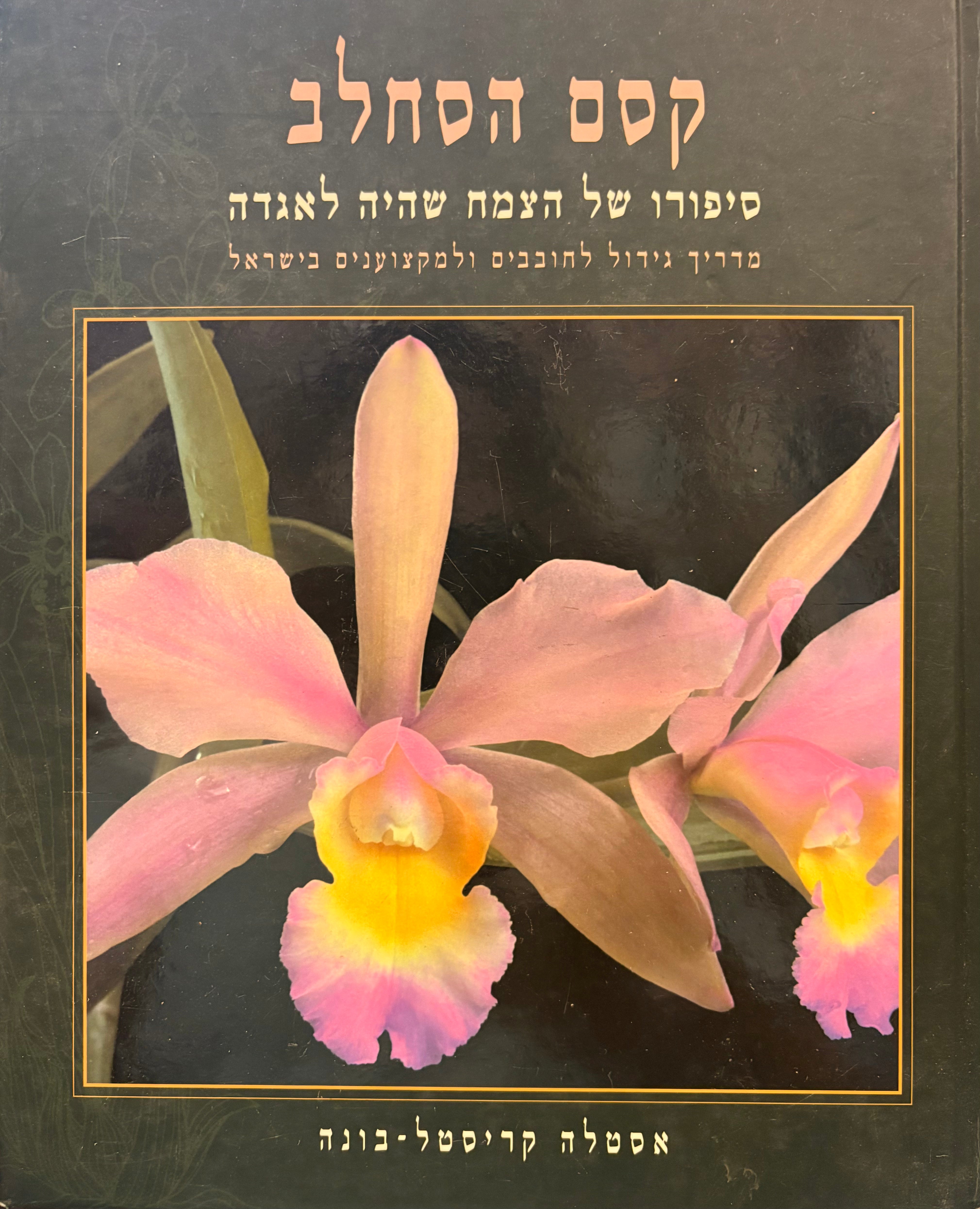 קסם הסלחב: סיפורו של הצמח שהיה לאגדה / מדריך גידול לחובבים ולמקצוענים בישראל