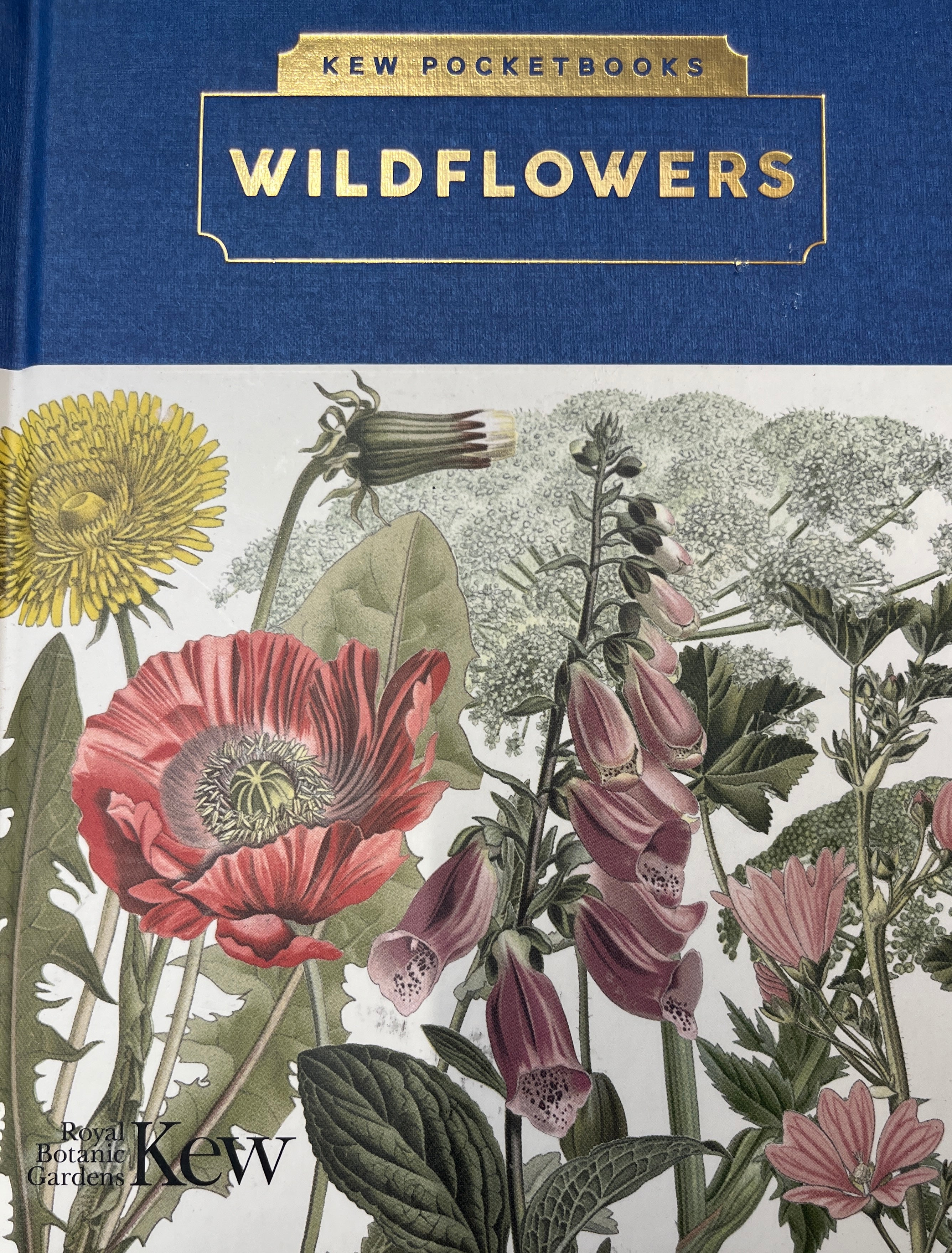 KEW POCKETBOOKS / WILDFLOWERS