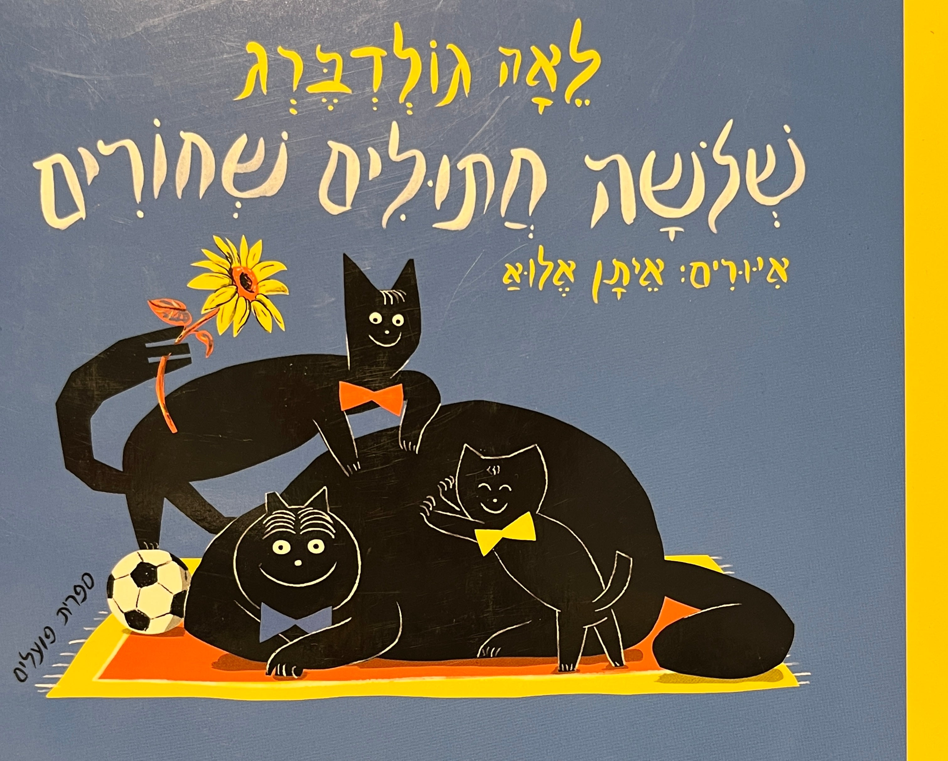 שלשה חתולים שחורים / דפי קרטון
