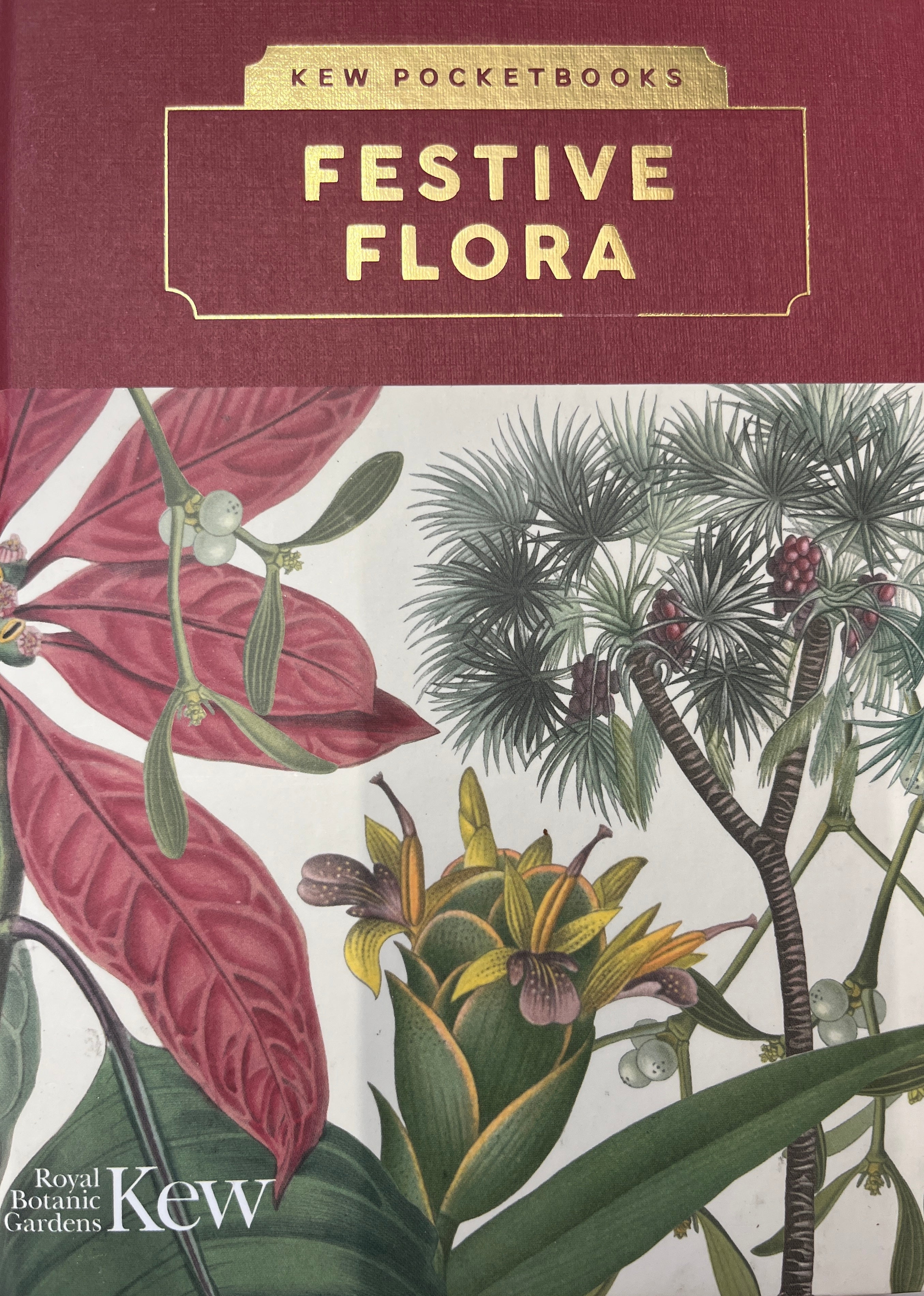 KEW POCKETBOOKS / FESTIVE FLORA