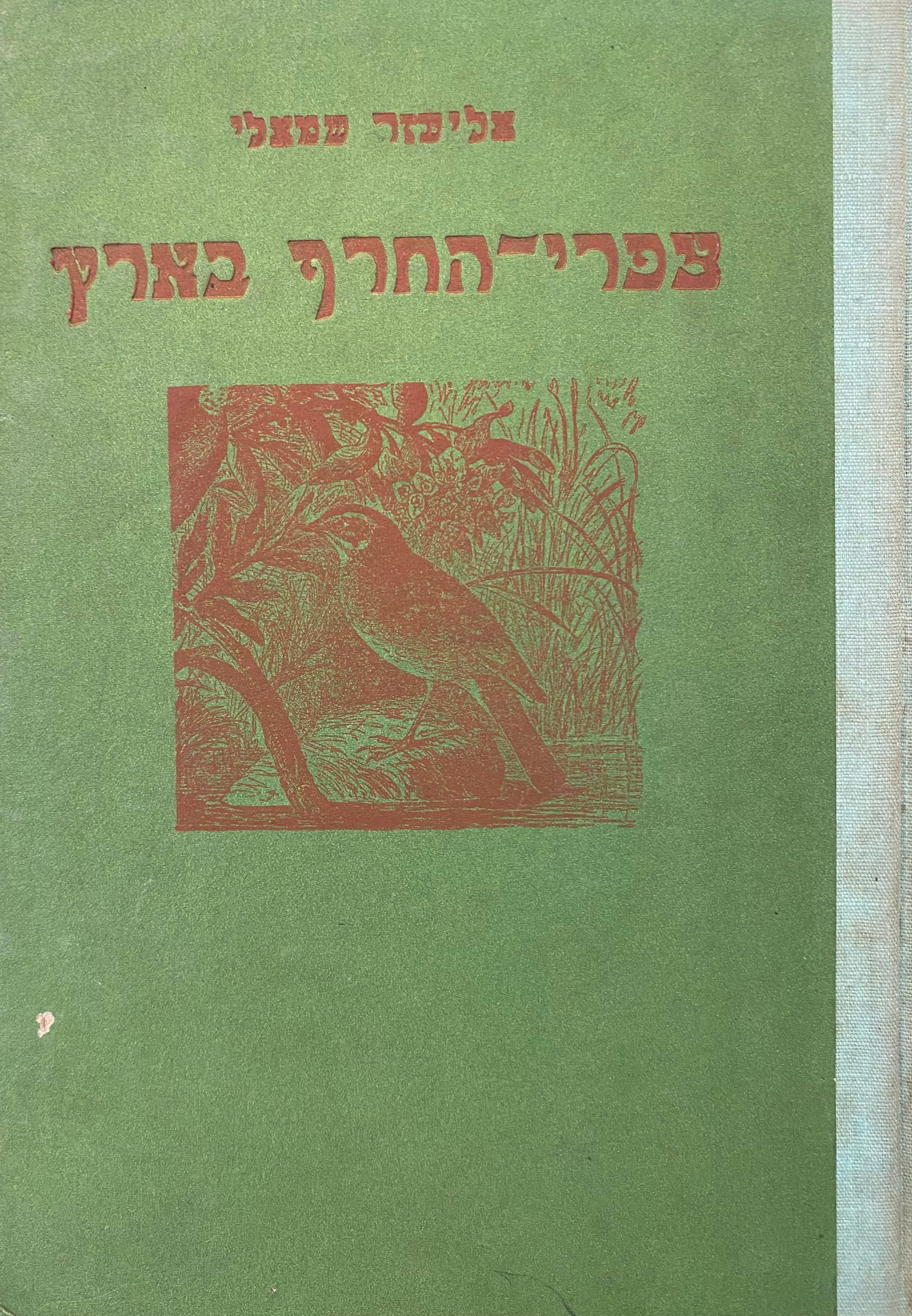 צפרי החרף בארץ/ מסעיהן וחיהן