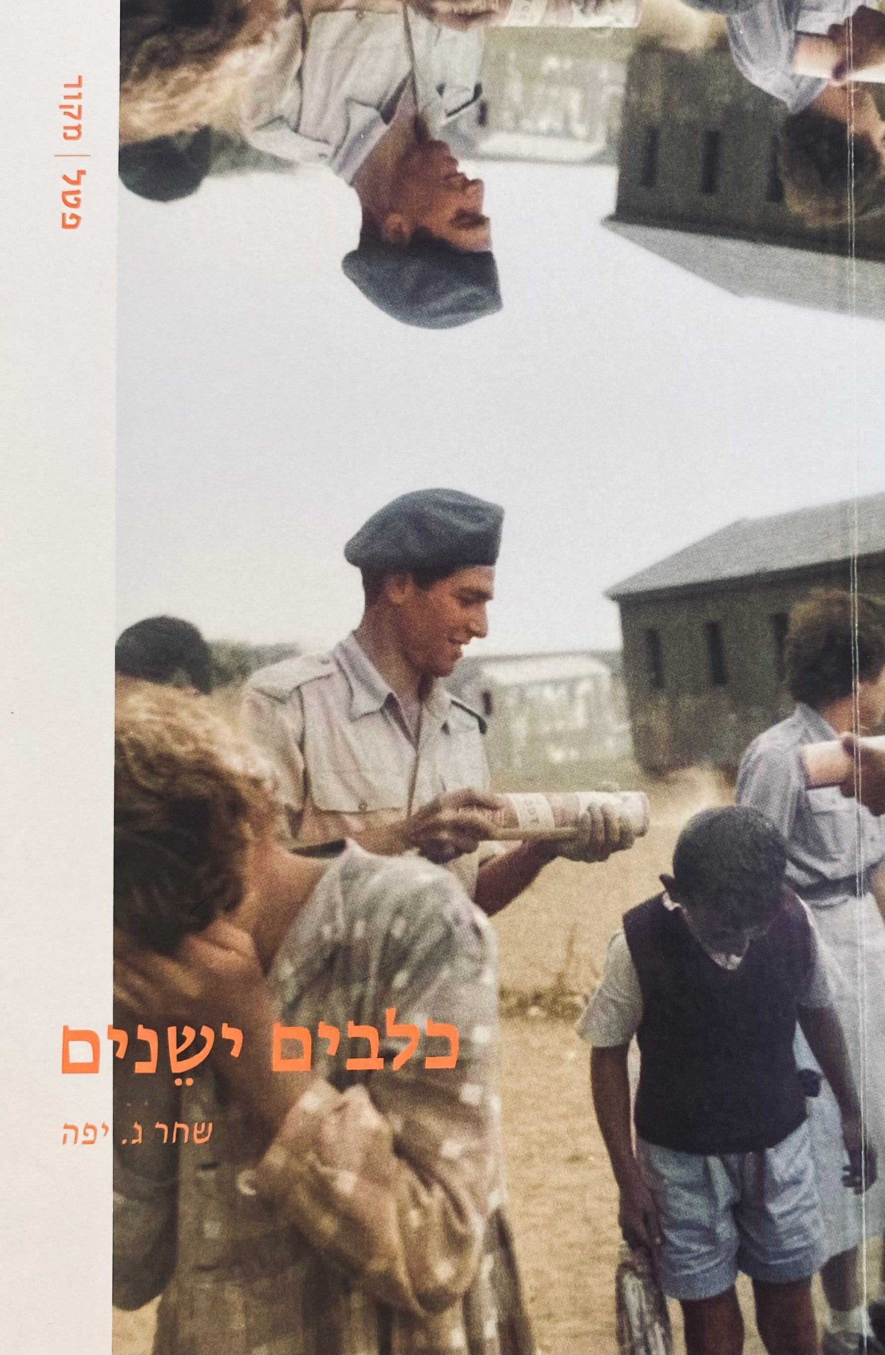 כלבים ישנים