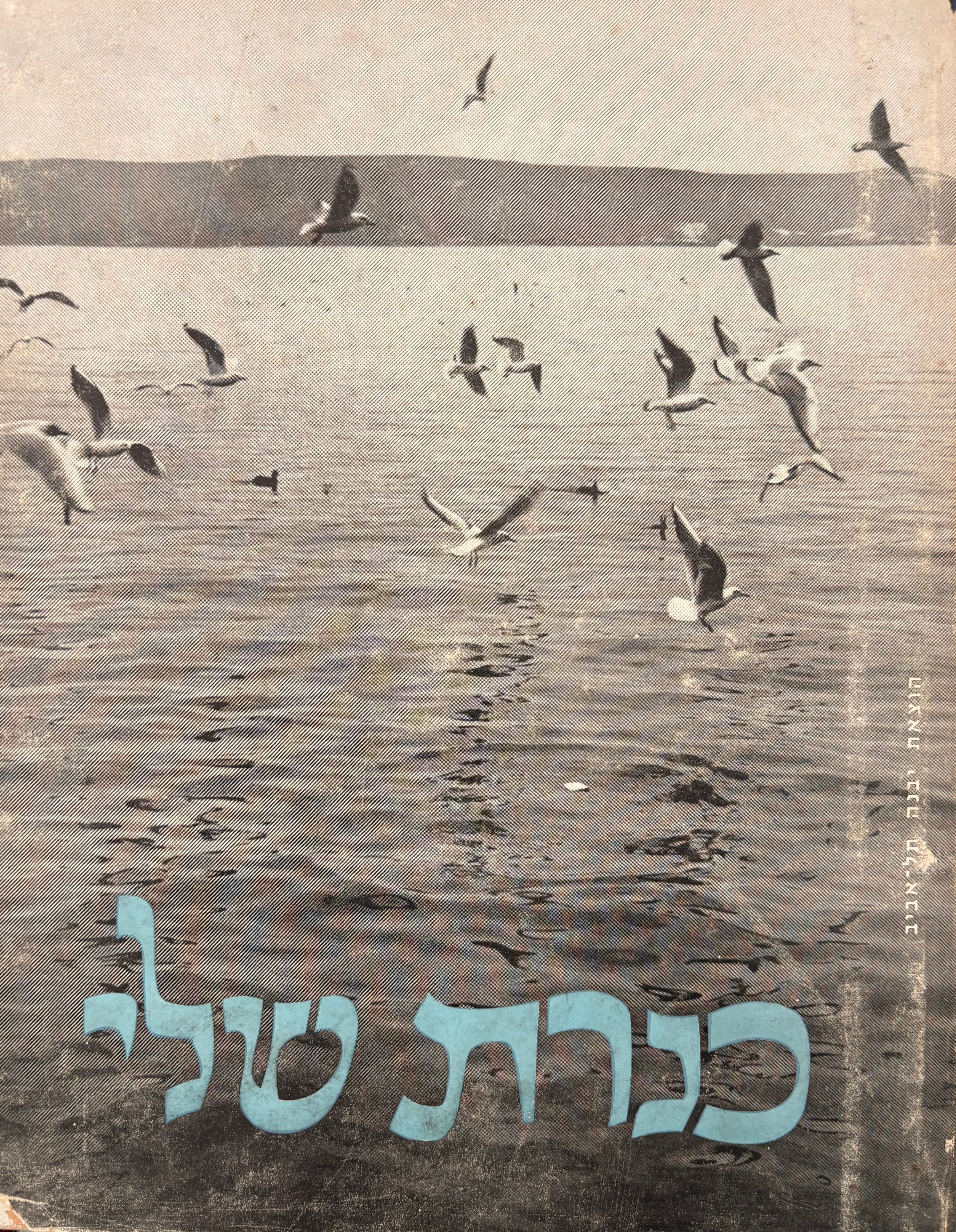 כנרת שלי